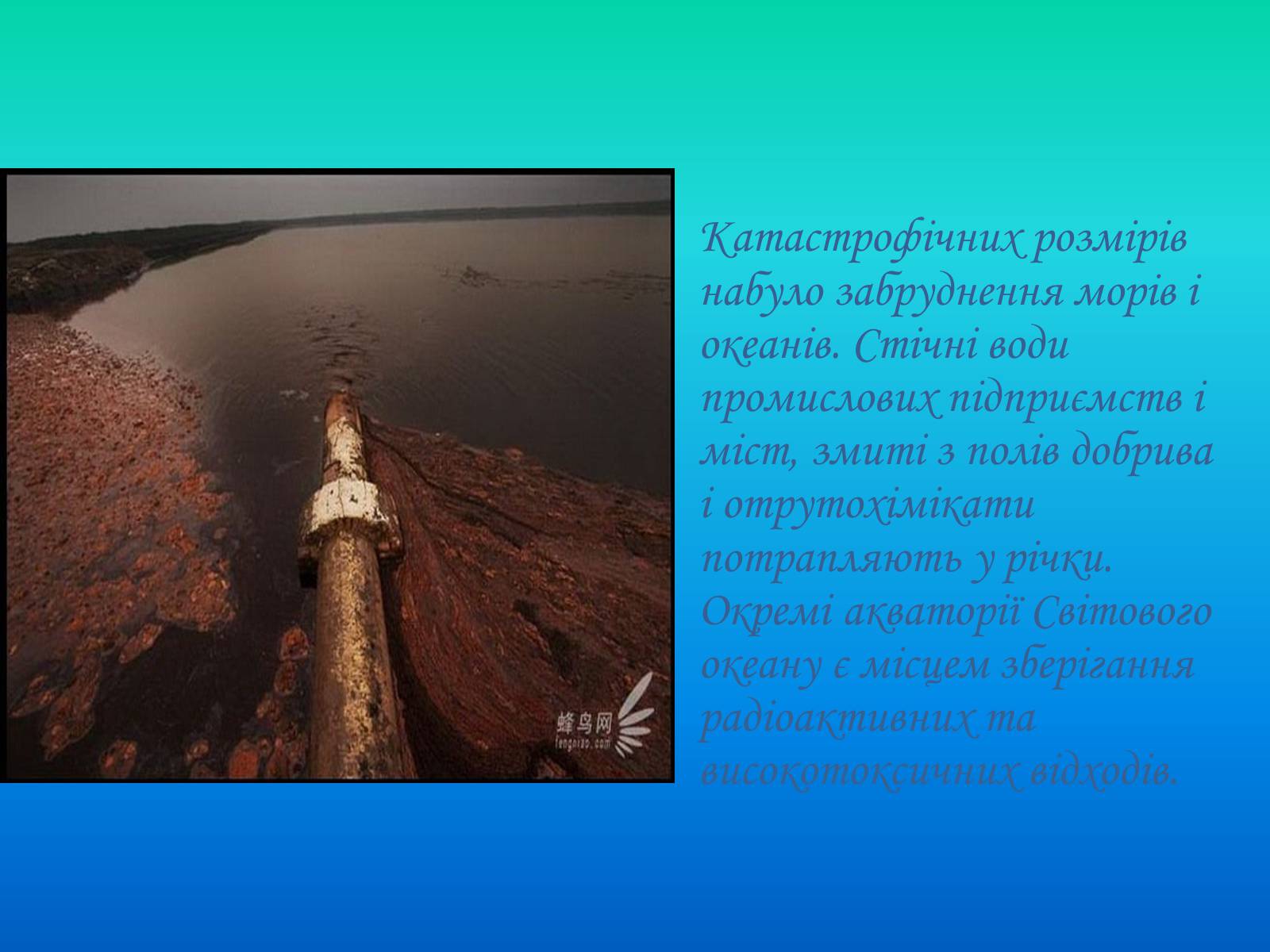 Презентація на тему «Глобальні проблеми світового океану» (варіант 2) - Слайд #4 Презентація на тему «Глобальні проблеми світового океану» (варіант 2) - Слайд #4