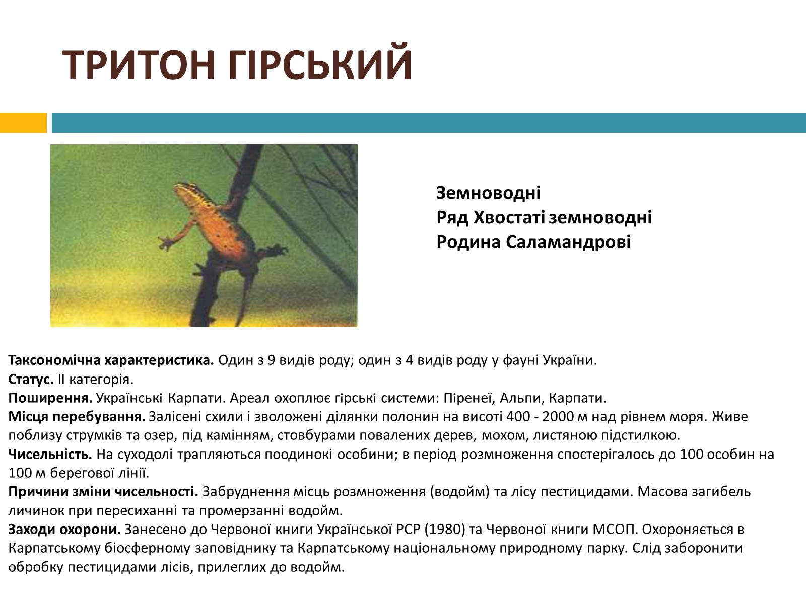 Презентація на тему «Червона книга україни» (варіант 4) - Слайд #10 Презентація на тему «Червона книга україни» (варіант 4) - Слайд #10
