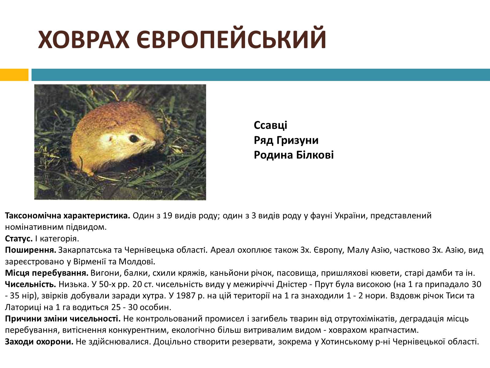 Презентація на тему «Червона книга україни» (варіант 4) - Слайд #14 Презентація на тему «Червона книга україни» (варіант 4) - Слайд #14
