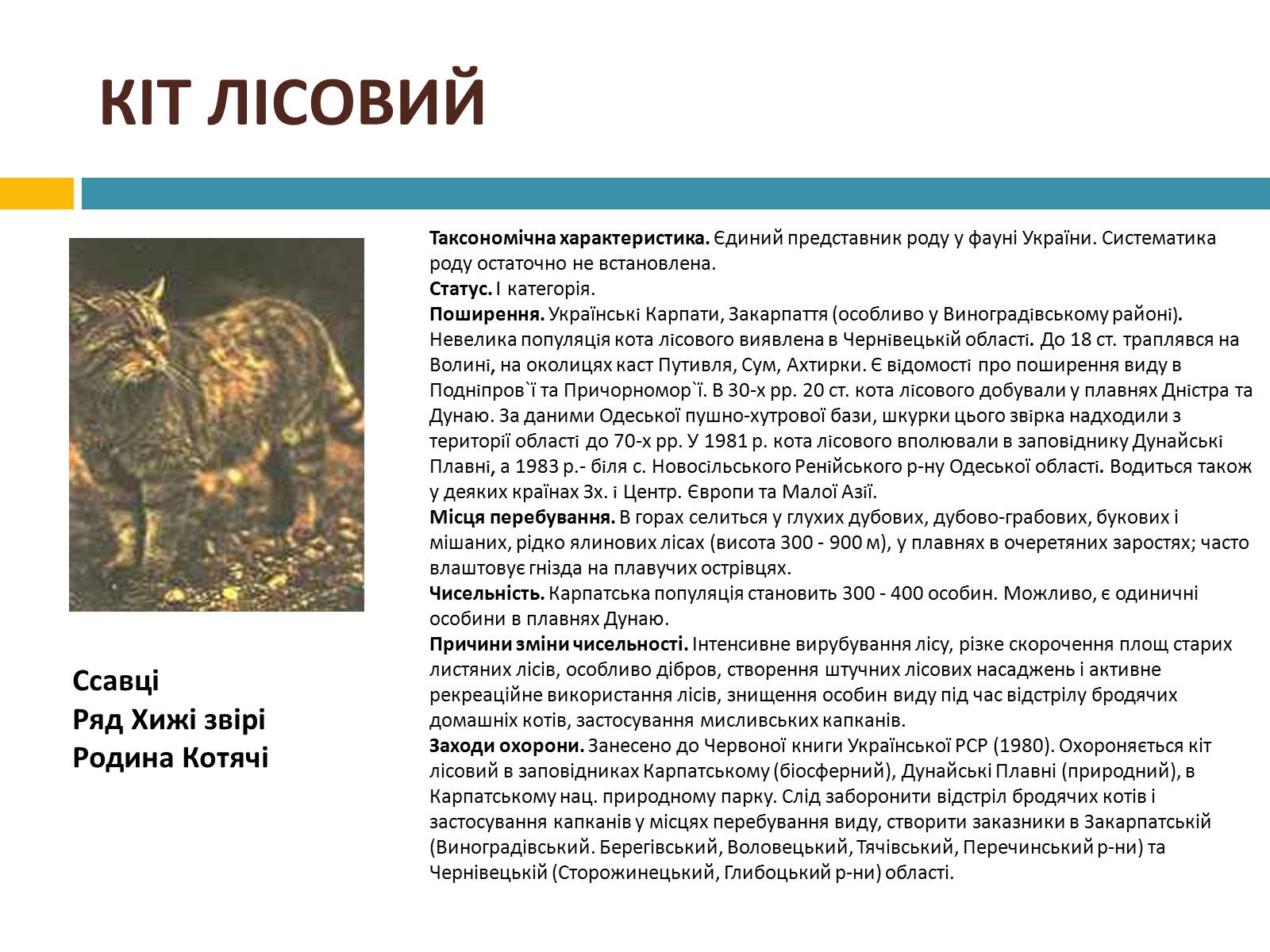 Презентація на тему «Червона книга україни» (варіант 4) - Слайд #15 Презентація на тему «Червона книга україни» (варіант 4) - Слайд #15