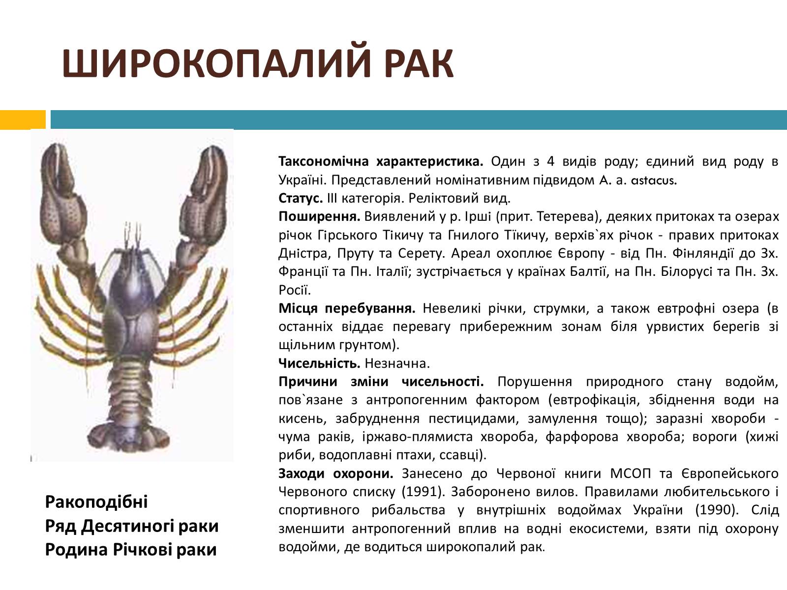 Презентація на тему «Червона книга україни» (варіант 4) - Слайд #3 Презентація на тему «Червона книга україни» (варіант 4) - Слайд #3
