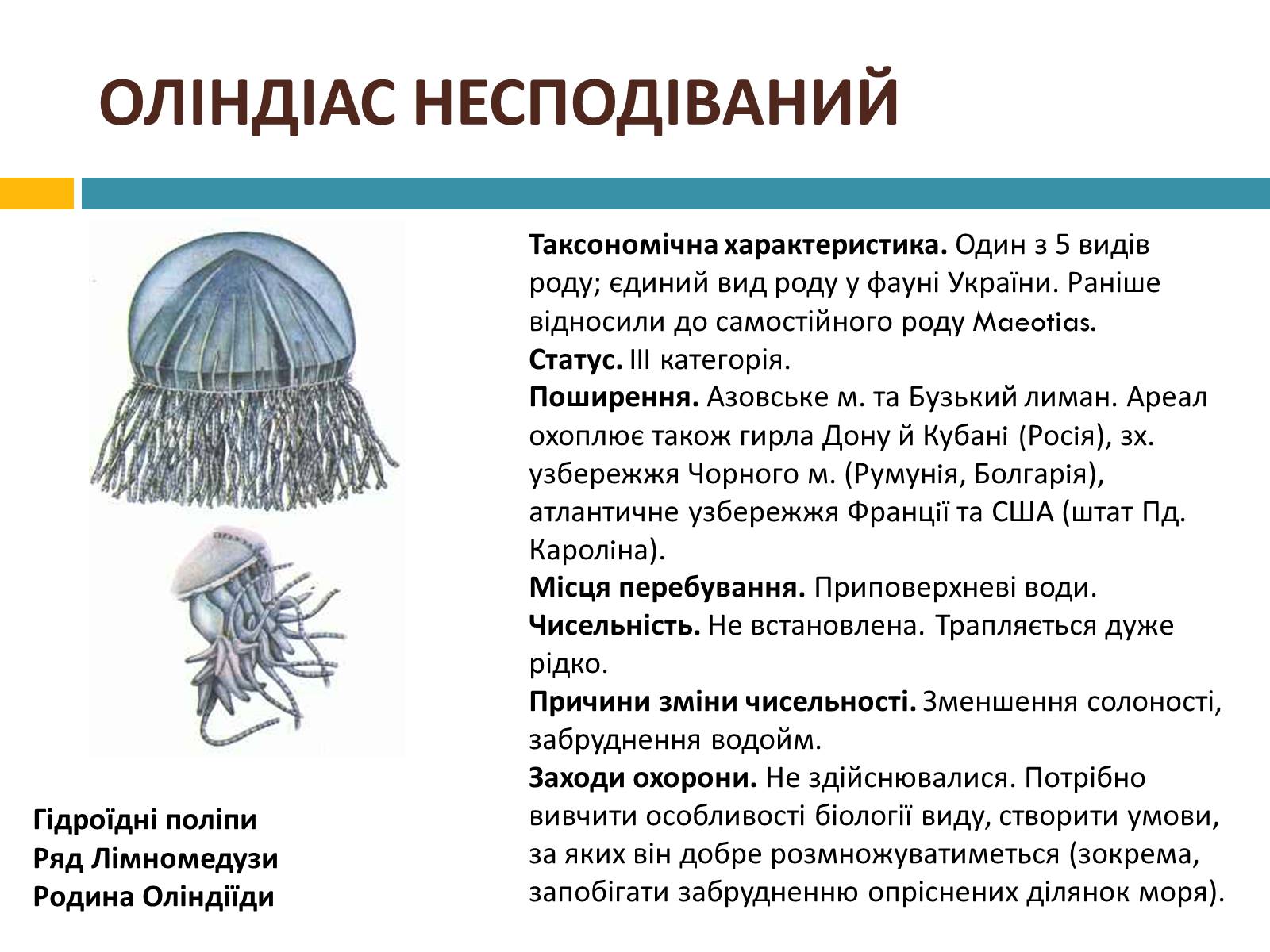 Презентація на тему «Червона книга україни» (варіант 4) - Слайд #4 Презентація на тему «Червона книга україни» (варіант 4) - Слайд #4