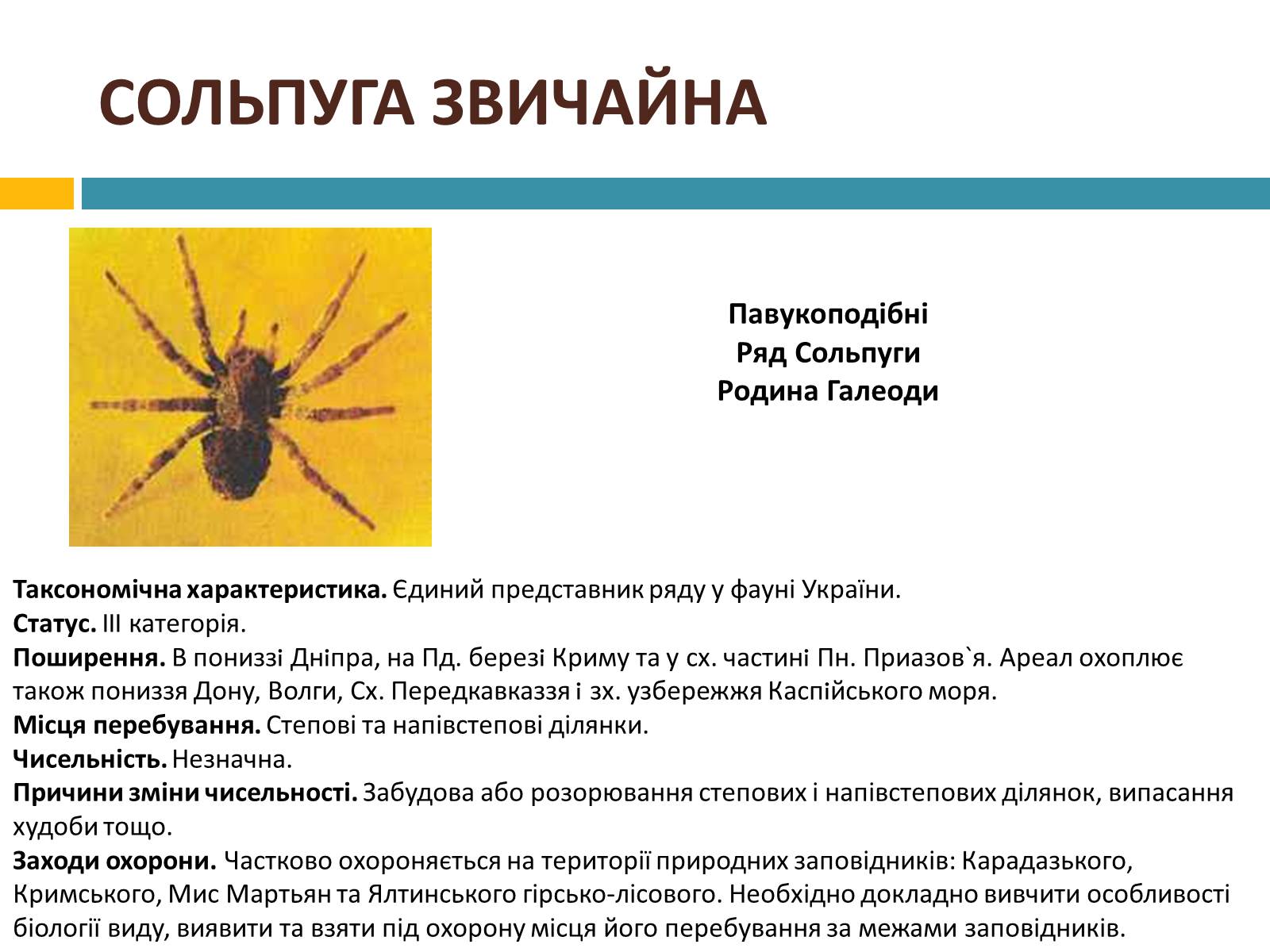 Презентація на тему «Червона книга україни» (варіант 4) - Слайд #6 Презентація на тему «Червона книга україни» (варіант 4) - Слайд #6