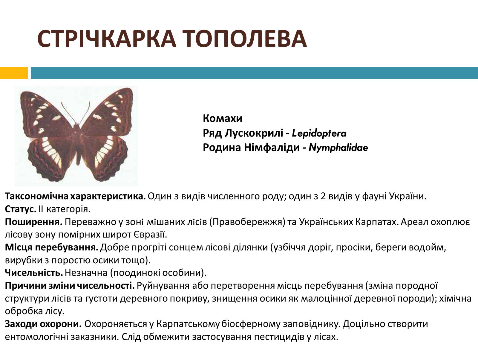 Презентація на тему «Червона книга україни» (варіант 4) - Слайд #7 Презентація на тему «Червона книга україни» (варіант 4) - Слайд #7