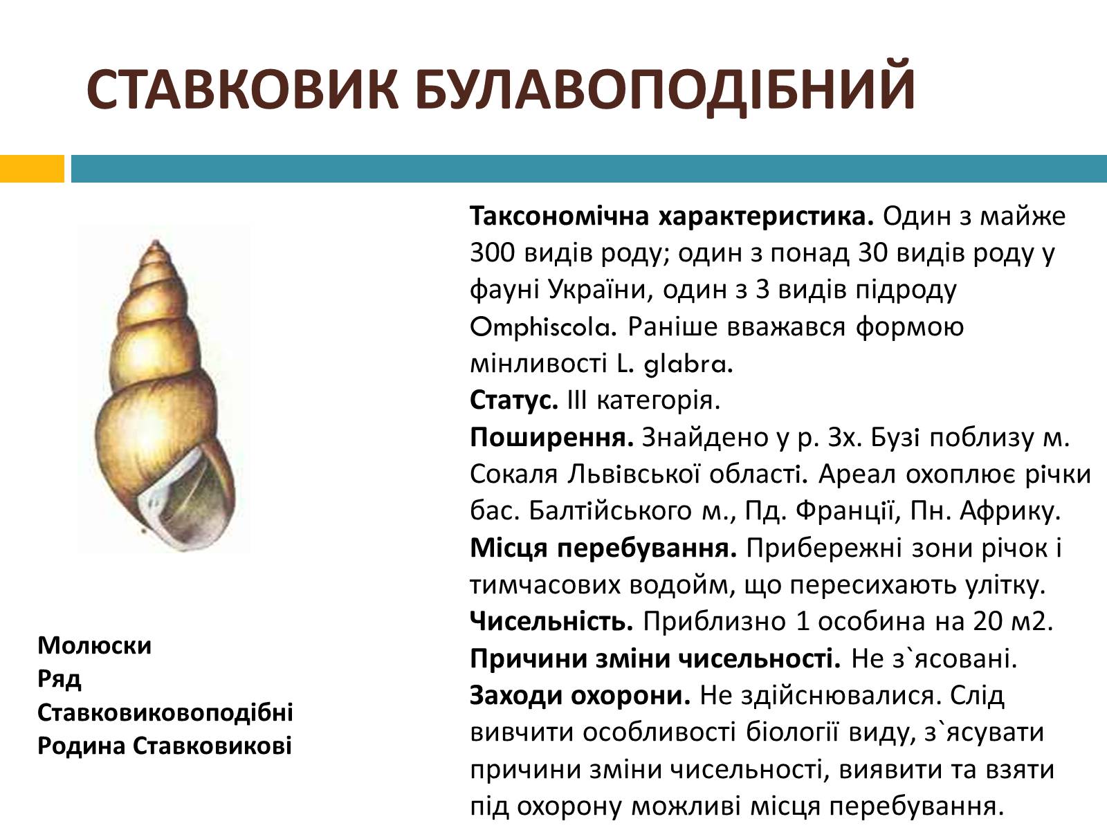 Презентація на тему «Червона книга україни» (варіант 4) - Слайд #8 Презентація на тему «Червона книга україни» (варіант 4) - Слайд #8