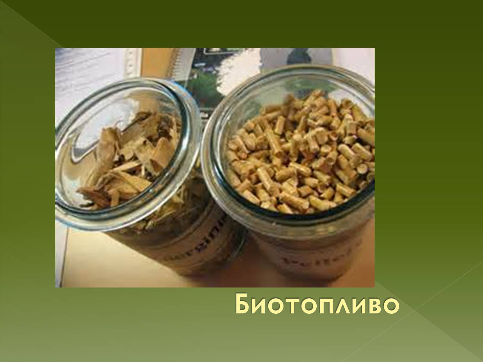 Презентація на тему «Важнейшие экологические проблемы» - Слайд #24 Презентація на тему «Важнейшие экологические проблемы» - Слайд #24