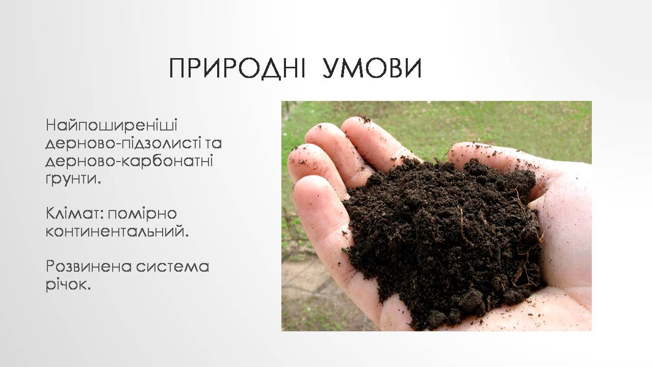 Презентація на тему «Загальна характеристика Польщі» - Слайд #9 Презентація на тему «Загальна характеристика Польщі» - Слайд #9