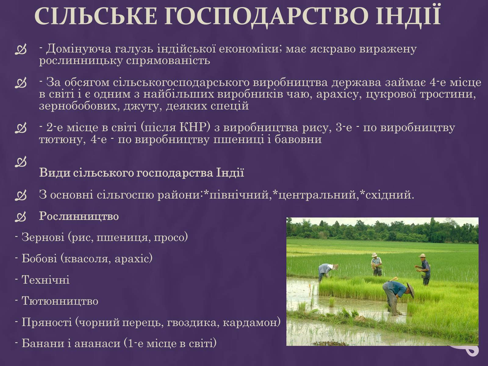 Презентація на тему «Індія» (варіант 6) - Слайд #17 Презентація на тему «Індія» (варіант 6) - Слайд #17
