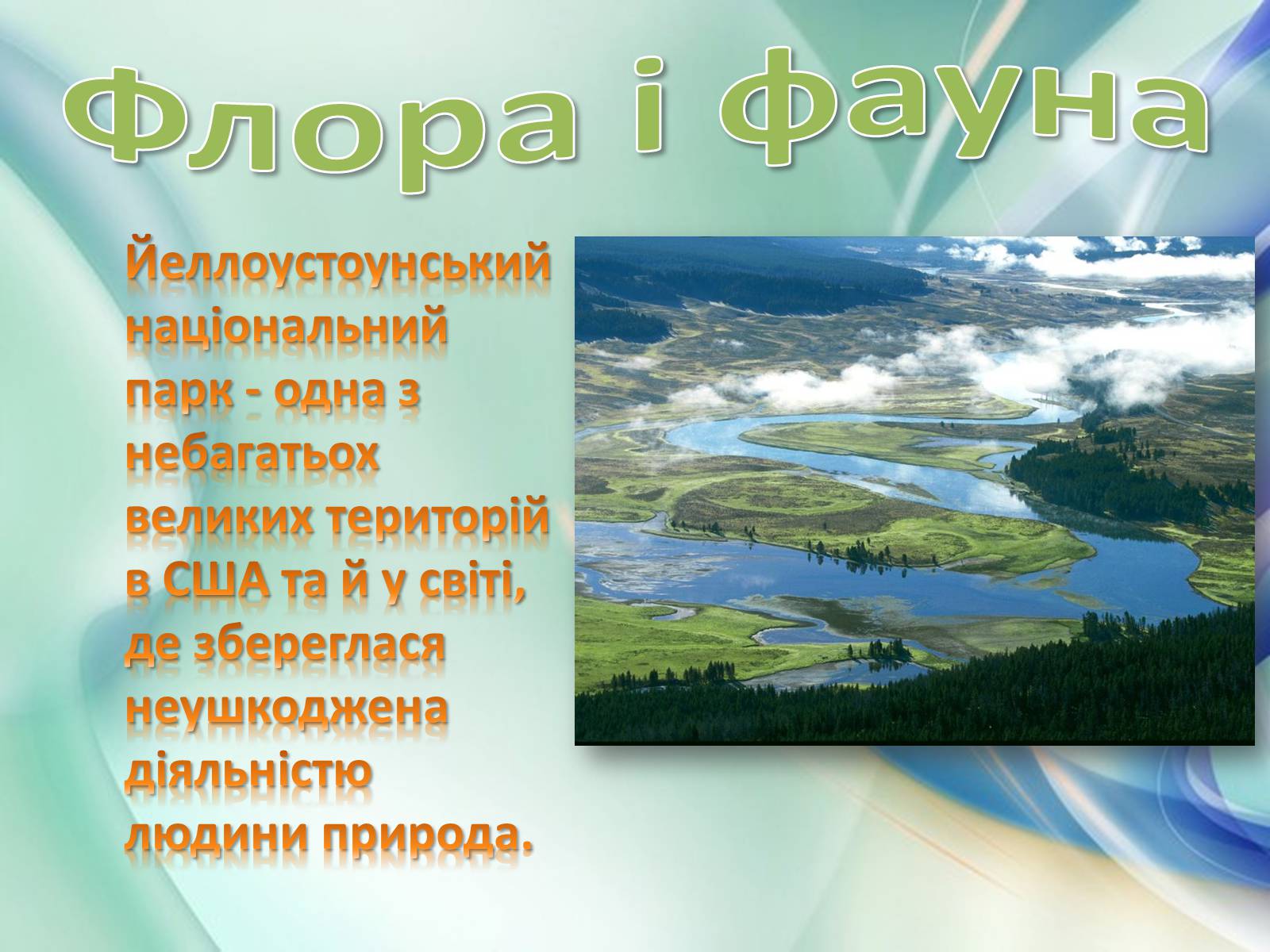 Презентація на тему «Національний парк Йеллоустоун» - Слайд #20 Презентація на тему «Національний парк Йеллоустоун» - Слайд #20