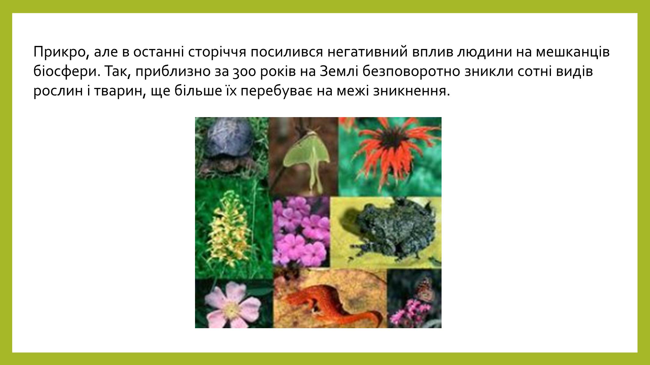 Презентація на тему «Людина і біосфера» (варіант 2) - Слайд #4 Презентація на тему «Людина і біосфера» (варіант 2) - Слайд #4