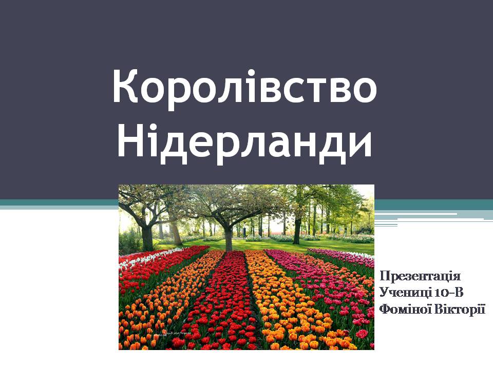 Презентація на тему «Королівство Нідерланди» (варіант 1) - Слайд #1 Презентація на тему «Королівство Нідерланди» (варіант 1) - Слайд #1