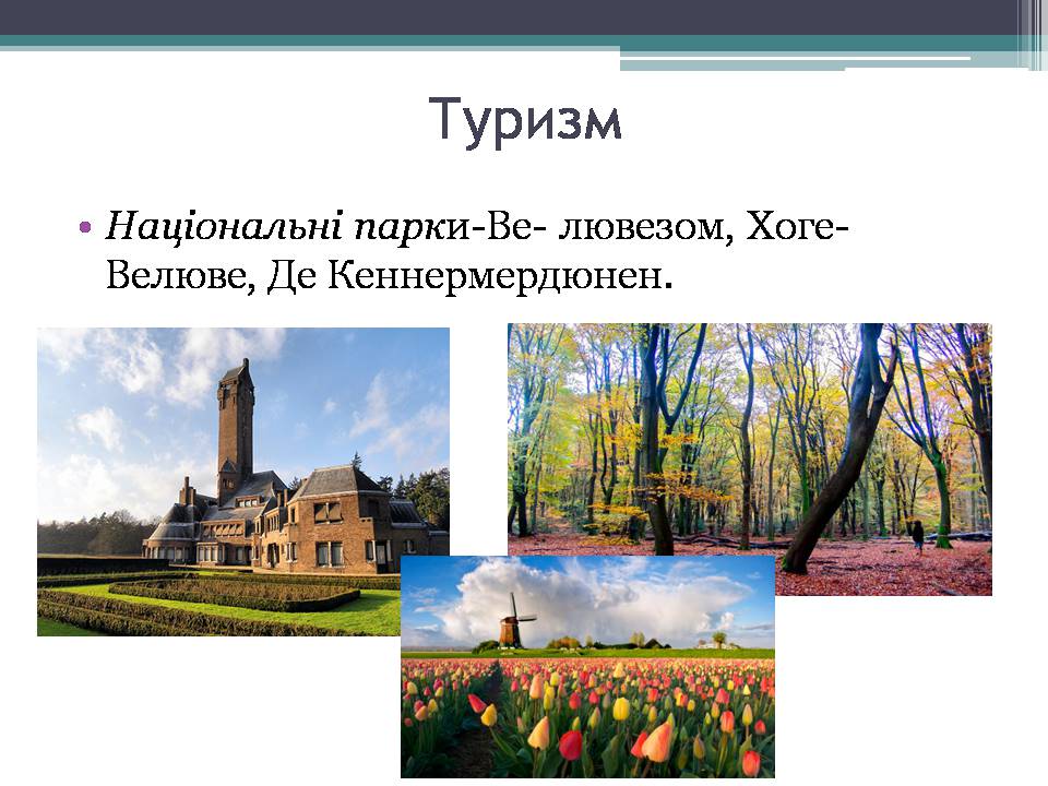 Презентація на тему «Королівство Нідерланди» (варіант 1) - Слайд #10 Презентація на тему «Королівство Нідерланди» (варіант 1) - Слайд #10