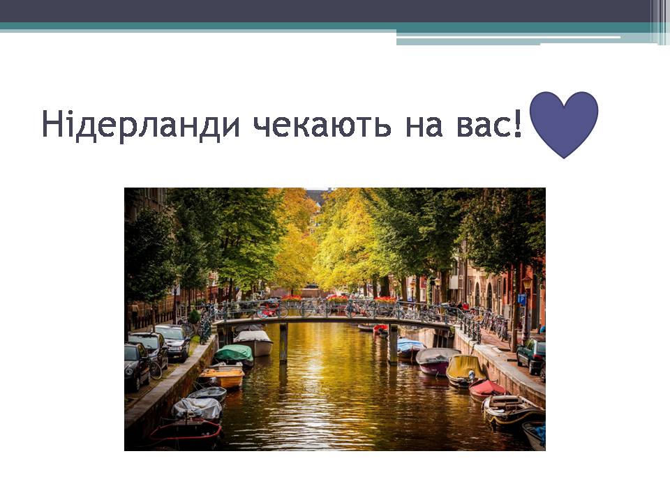 Презентація на тему «Королівство Нідерланди» (варіант 1) - Слайд #15 Презентація на тему «Королівство Нідерланди» (варіант 1) - Слайд #15