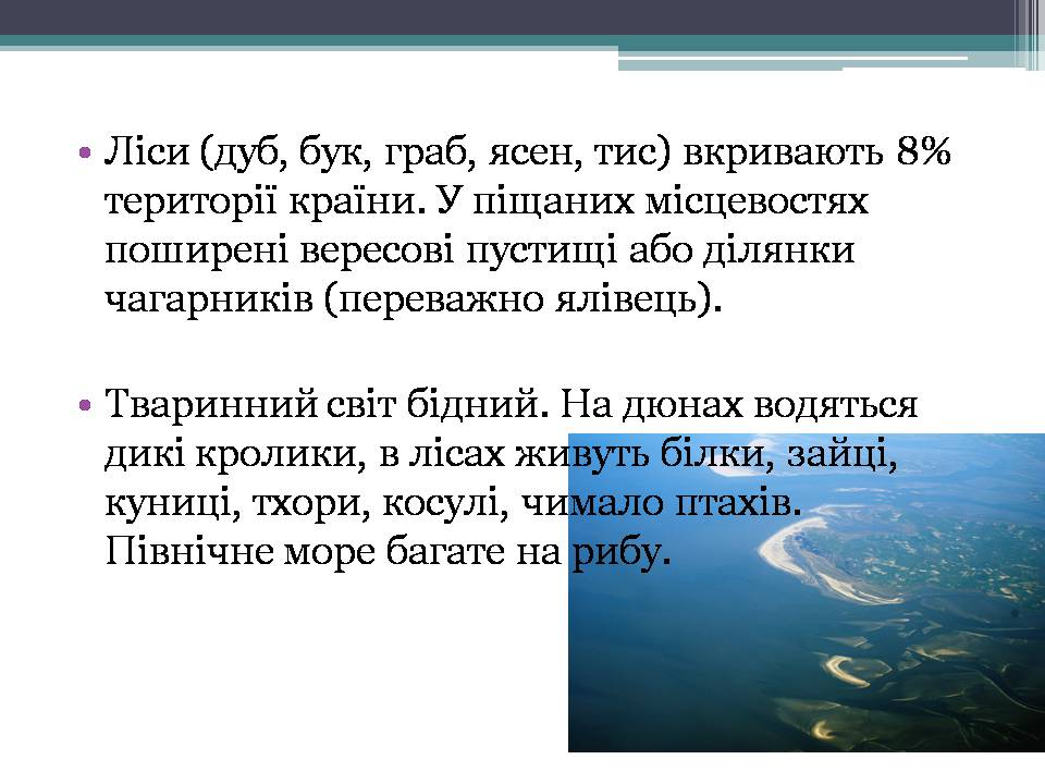 Презентація на тему «Королівство Нідерланди» (варіант 1) - Слайд #9 Презентація на тему «Королівство Нідерланди» (варіант 1) - Слайд #9