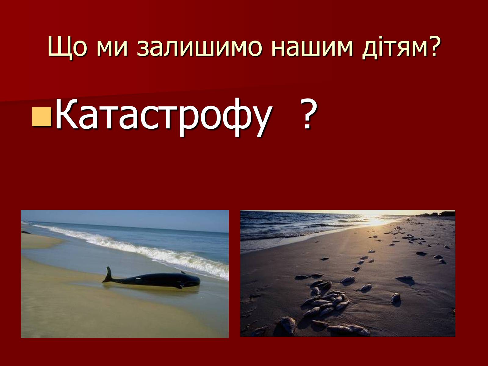 Презентація на тему «Екологічні проблеми» (варіант 2) - Слайд #10 Презентація на тему «Екологічні проблеми» (варіант 2) - Слайд #10