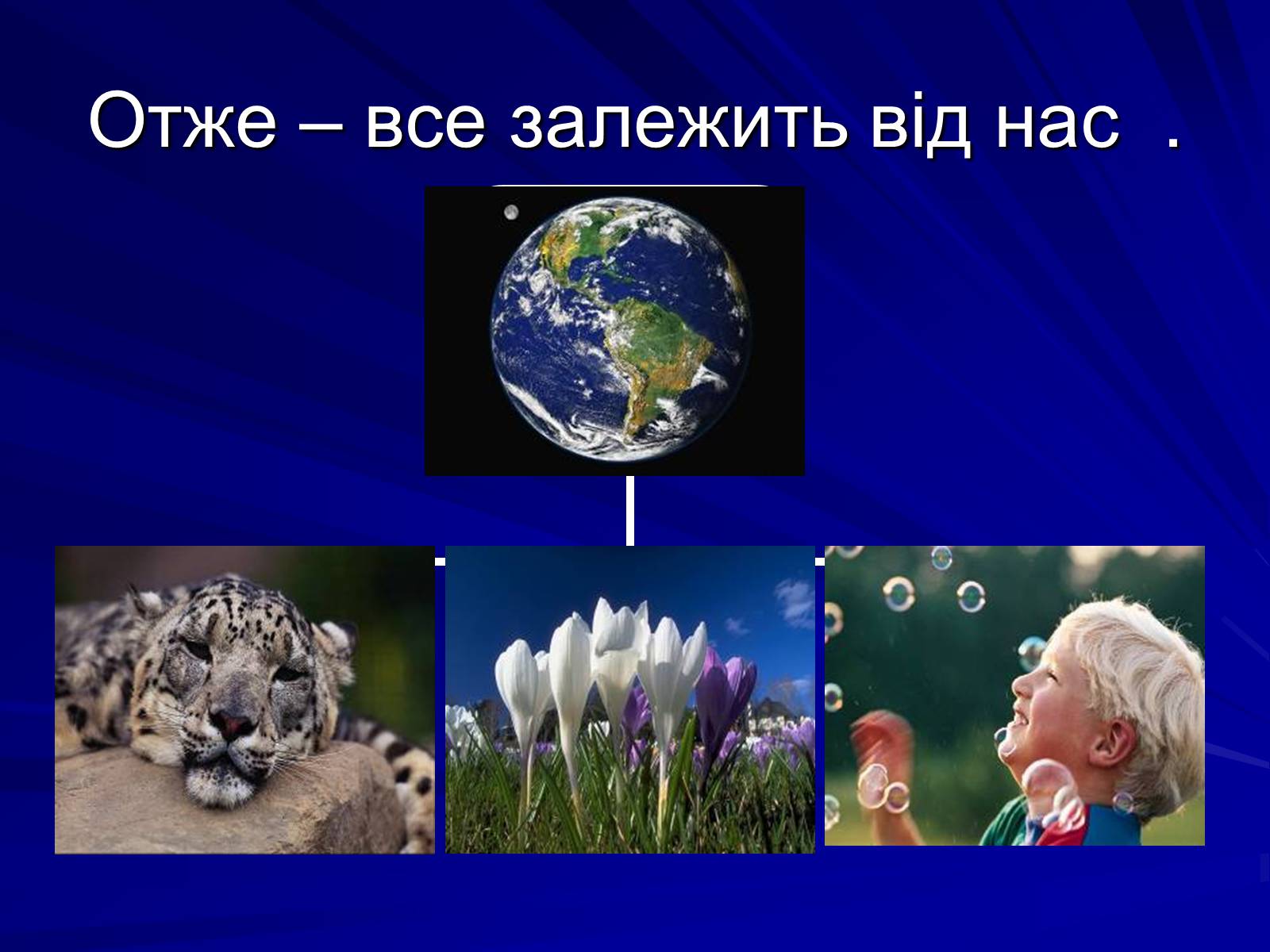 Презентація на тему «Екологічні проблеми» (варіант 2) - Слайд #12 Презентація на тему «Екологічні проблеми» (варіант 2) - Слайд #12