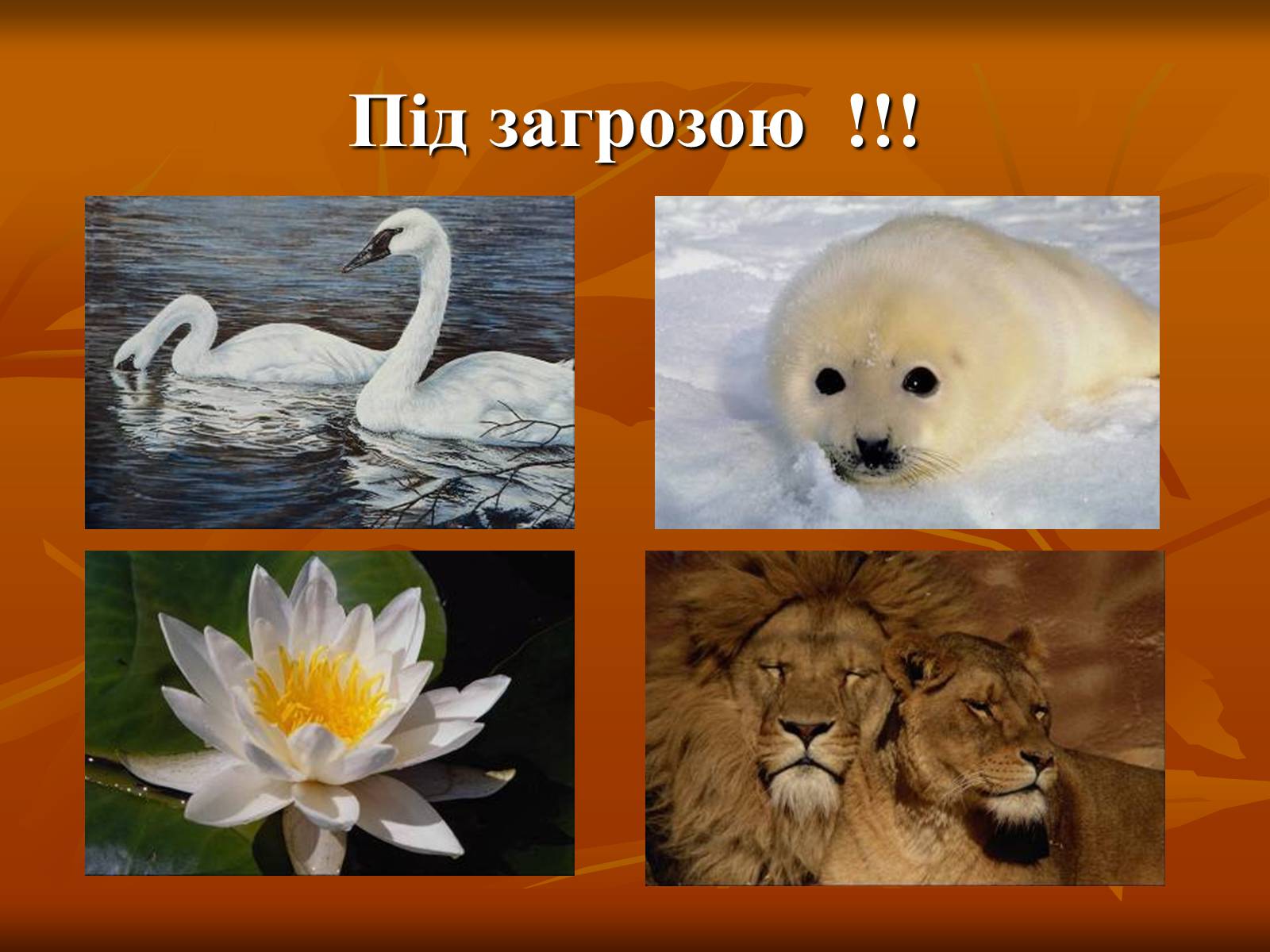 Презентація на тему «Екологічні проблеми» (варіант 2) - Слайд #9 Презентація на тему «Екологічні проблеми» (варіант 2) - Слайд #9