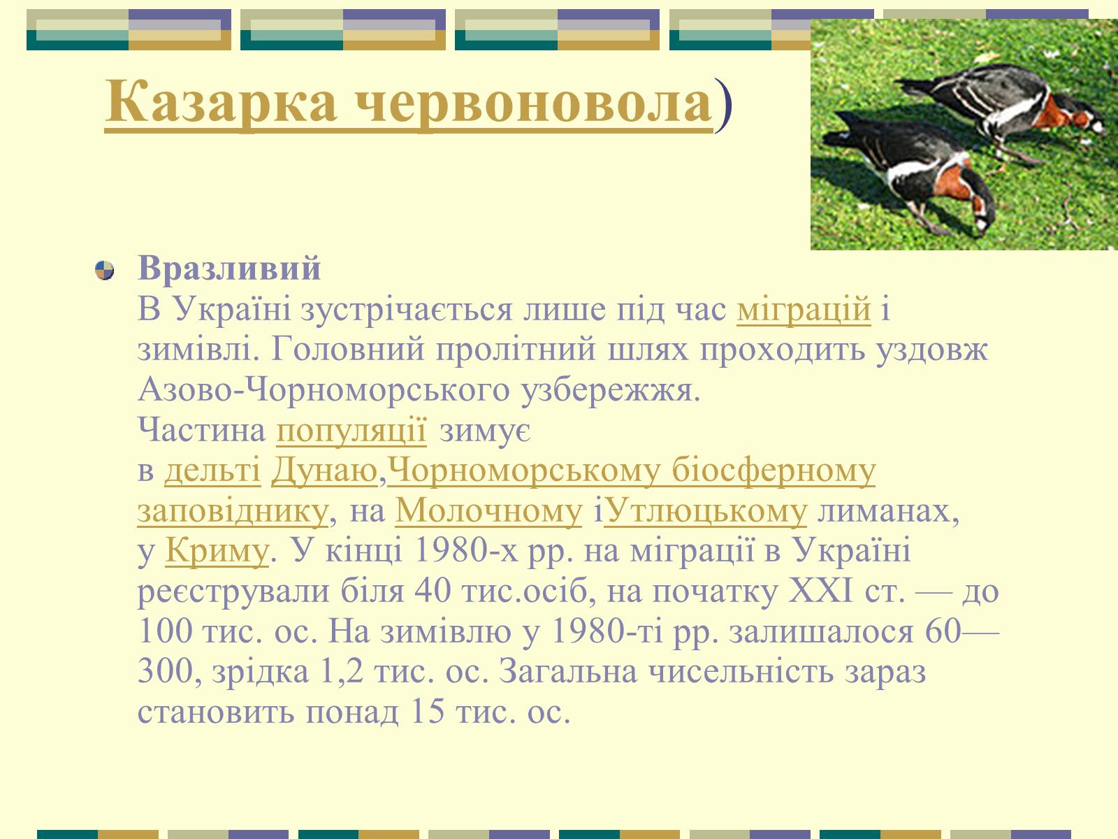 Презентація на тему «Червона книга України» (варіант 11) - Слайд #13 Презентація на тему «Червона книга України» (варіант 11) - Слайд #13