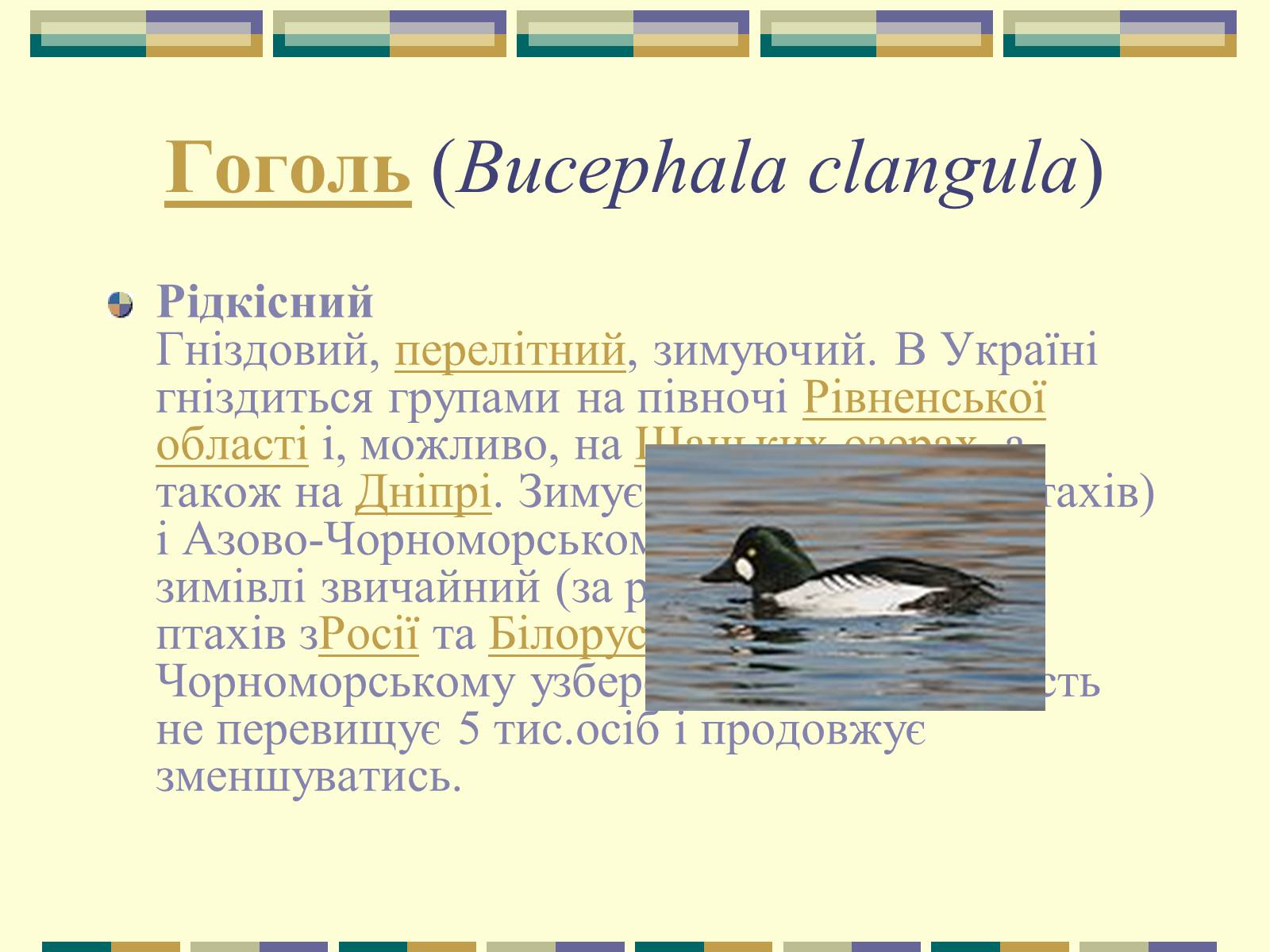Презентація на тему «Червона книга України» (варіант 11) - Слайд #20 Презентація на тему «Червона книга України» (варіант 11) - Слайд #20