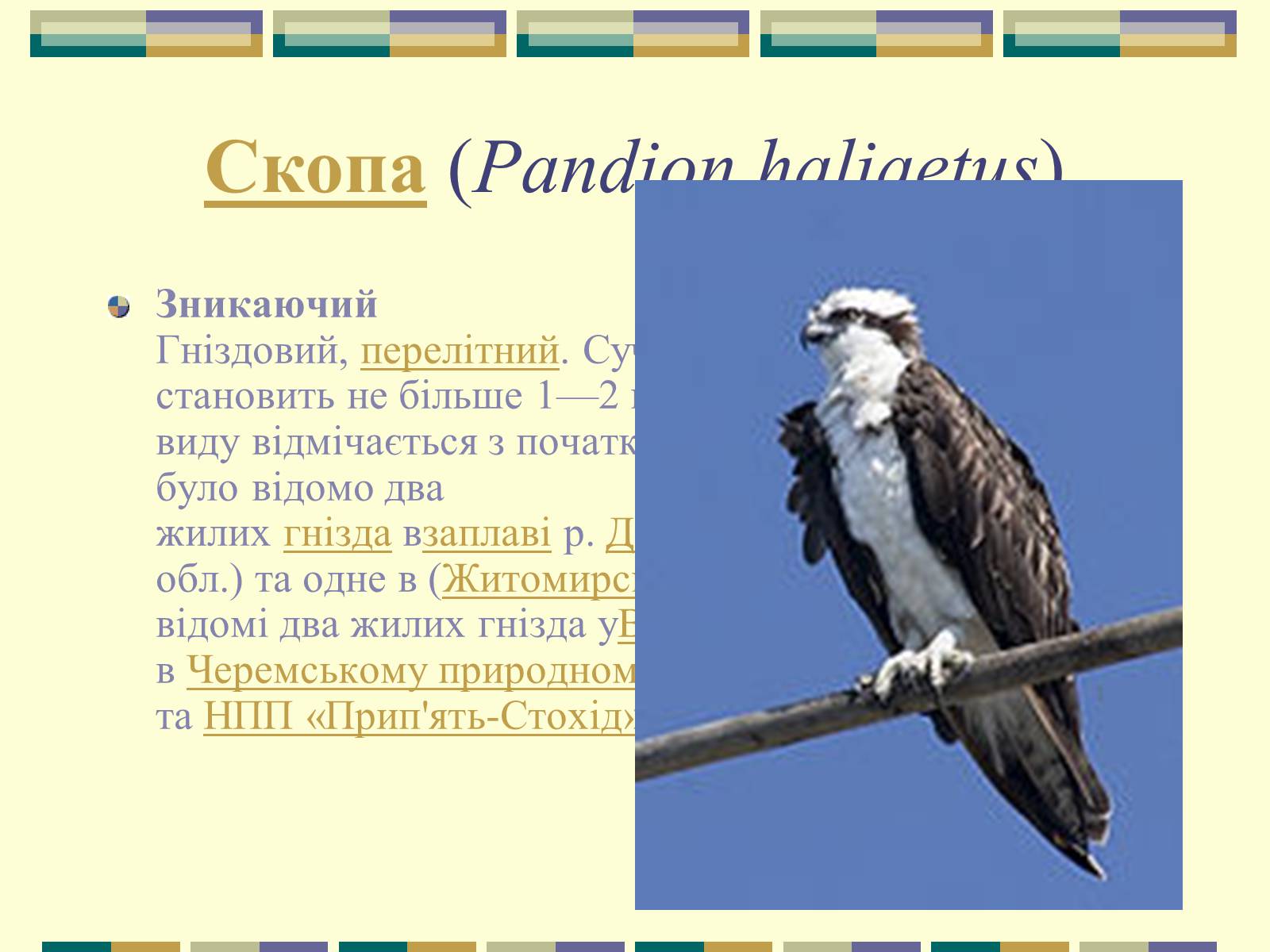 Презентація на тему «Червона книга України» (варіант 11) - Слайд #25 Презентація на тему «Червона книга України» (варіант 11) - Слайд #25