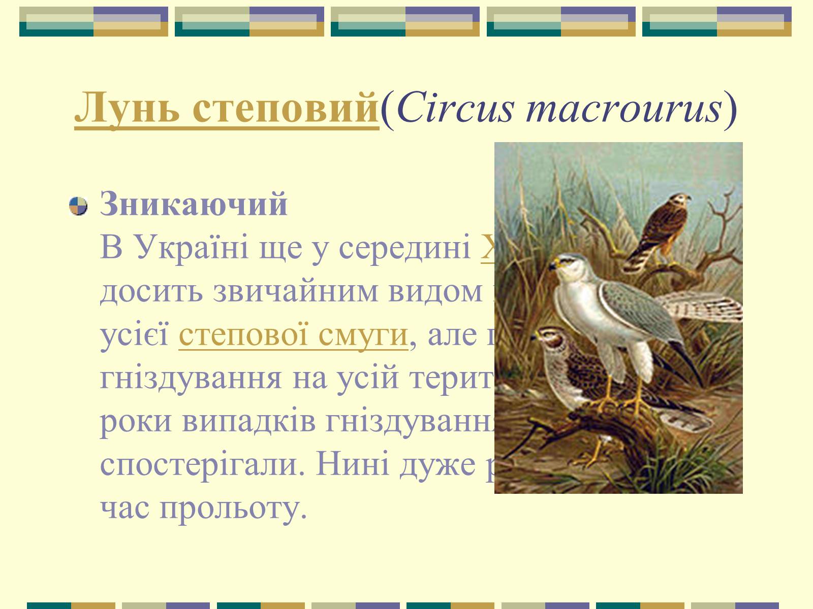 Презентація на тему «Червона книга України» (варіант 11) - Слайд #29 Презентація на тему «Червона книга України» (варіант 11) - Слайд #29