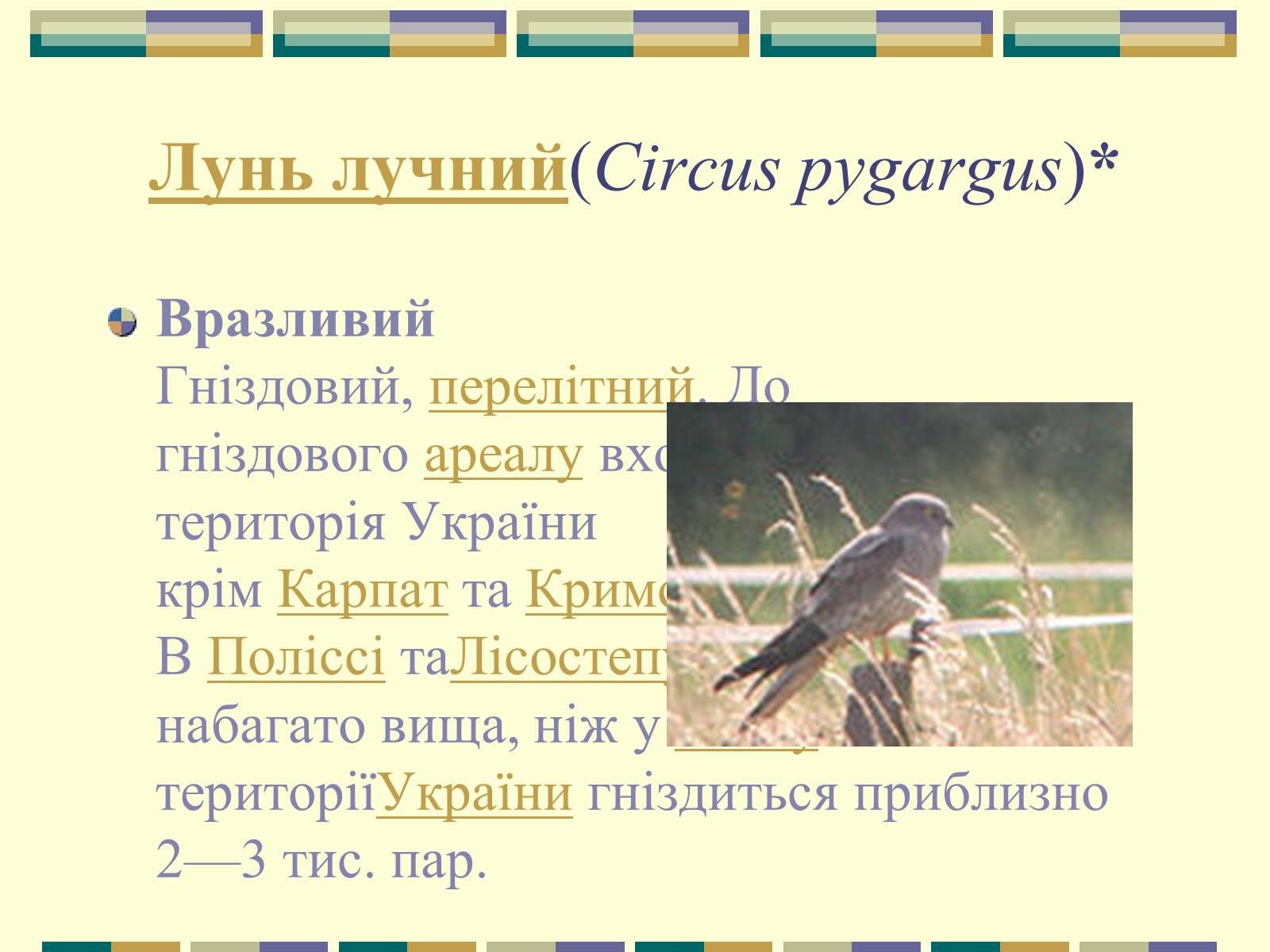 Презентація на тему «Червона книга України» (варіант 11) - Слайд #30 Презентація на тему «Червона книга України» (варіант 11) - Слайд #30