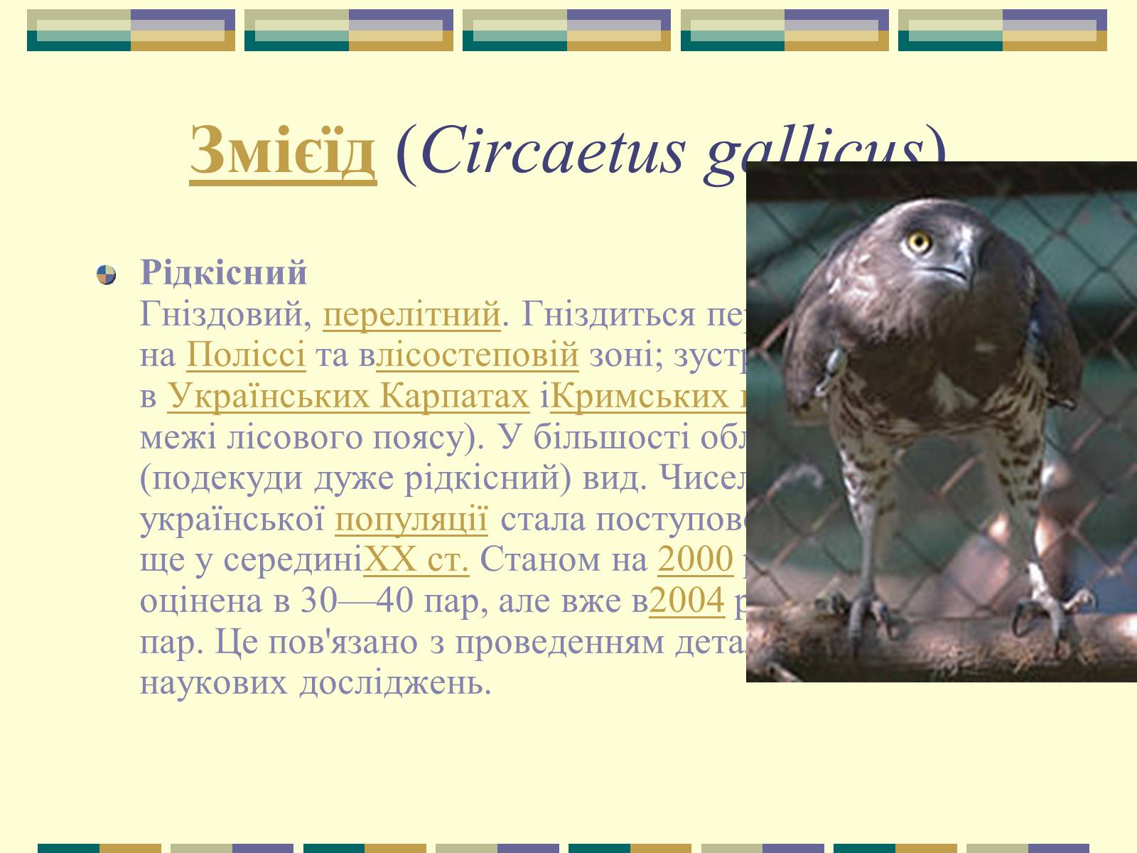 Презентація на тему «Червона книга України» (варіант 11) - Слайд #33 Презентація на тему «Червона книга України» (варіант 11) - Слайд #33