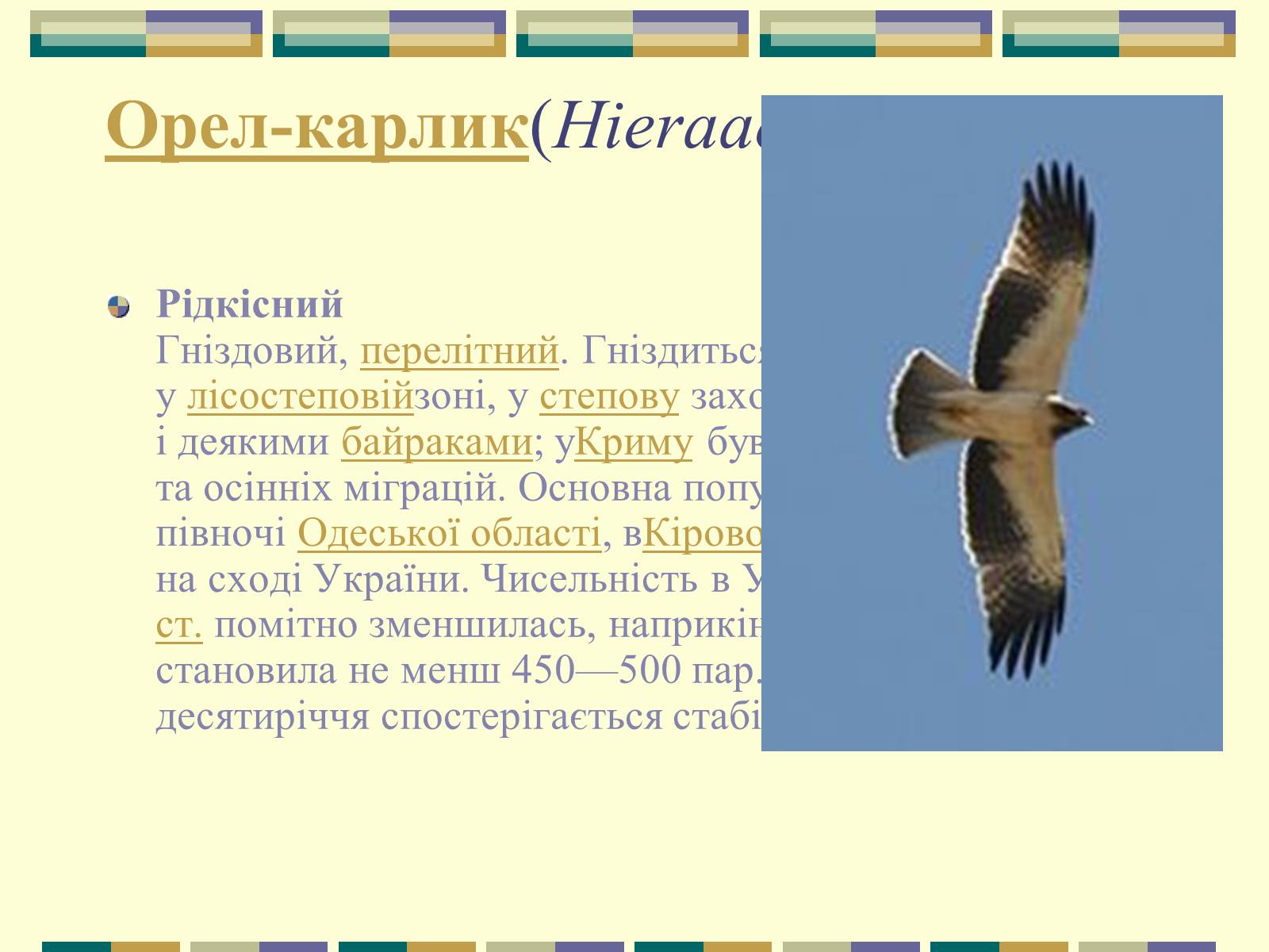 Презентація на тему «Червона книга України» (варіант 11) - Слайд #34 Презентація на тему «Червона книга України» (варіант 11) - Слайд #34