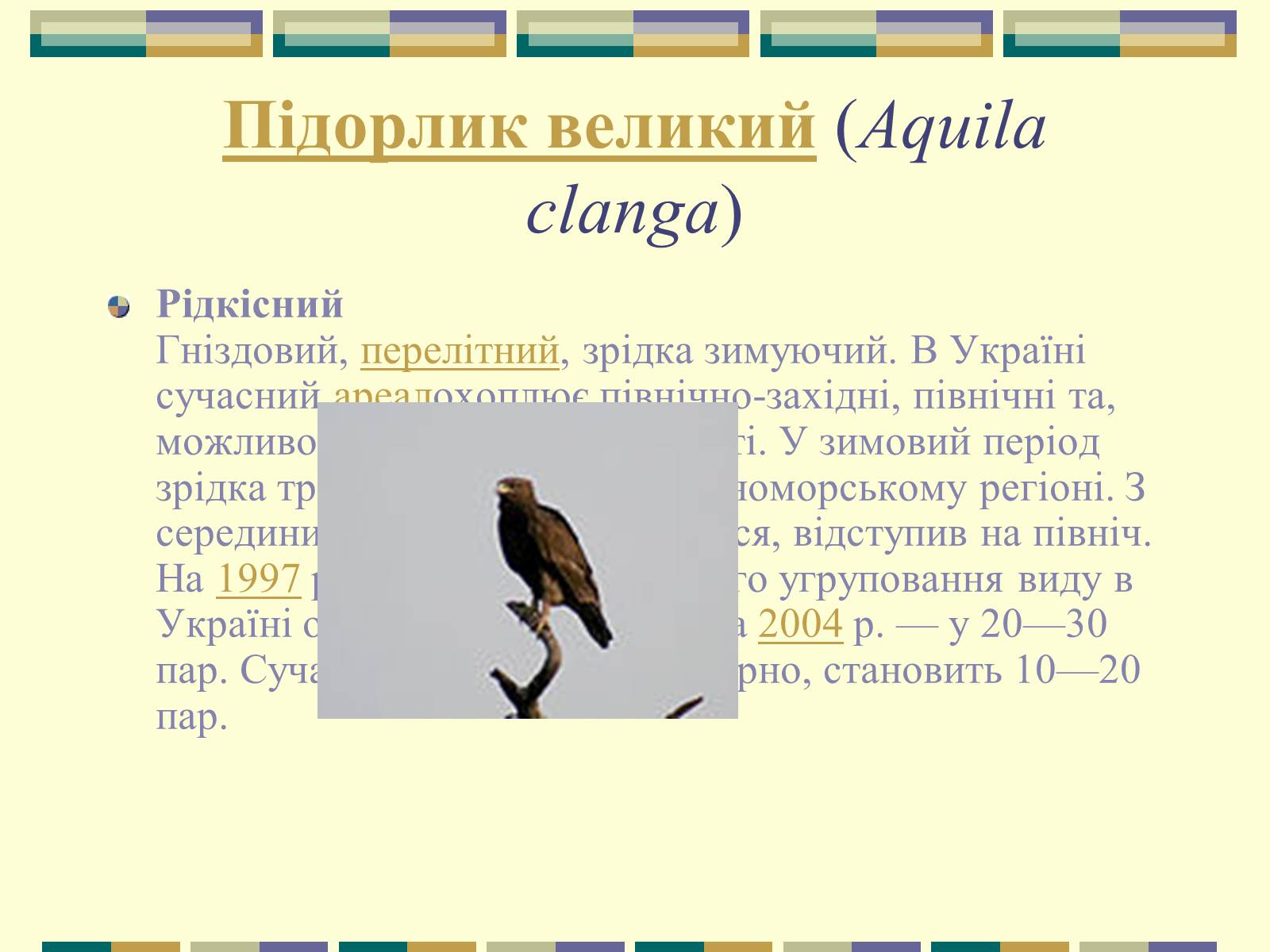 Презентація на тему «Червона книга України» (варіант 11) - Слайд #36 Презентація на тему «Червона книга України» (варіант 11) - Слайд #36