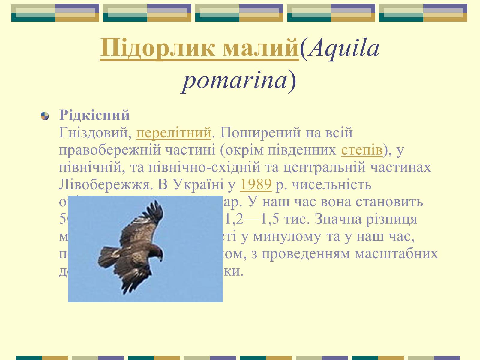 Презентація на тему «Червона книга України» (варіант 11) - Слайд #37 Презентація на тему «Червона книга України» (варіант 11) - Слайд #37