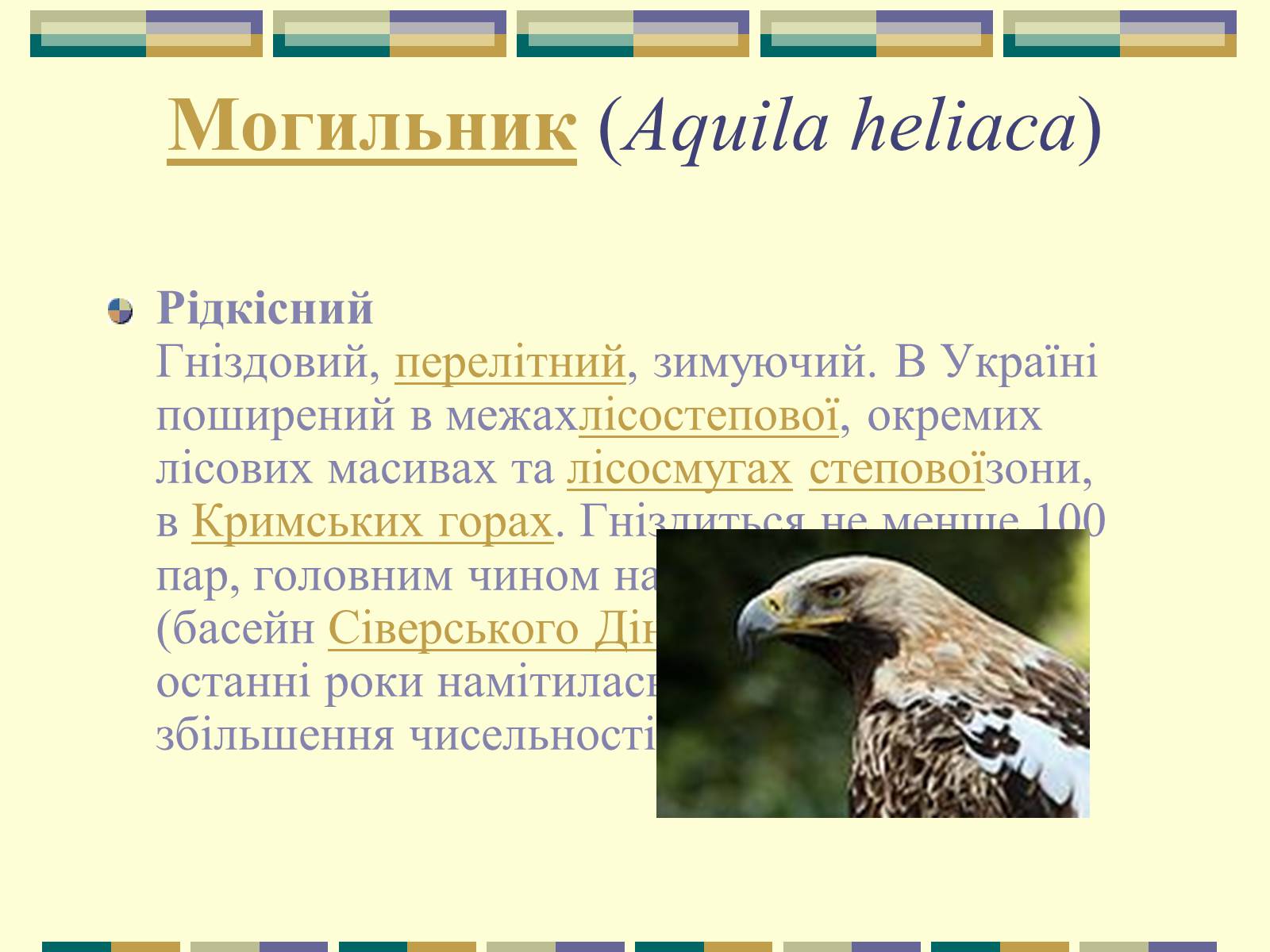 Презентація на тему «Червона книга України» (варіант 11) - Слайд #38 Презентація на тему «Червона книга України» (варіант 11) - Слайд #38