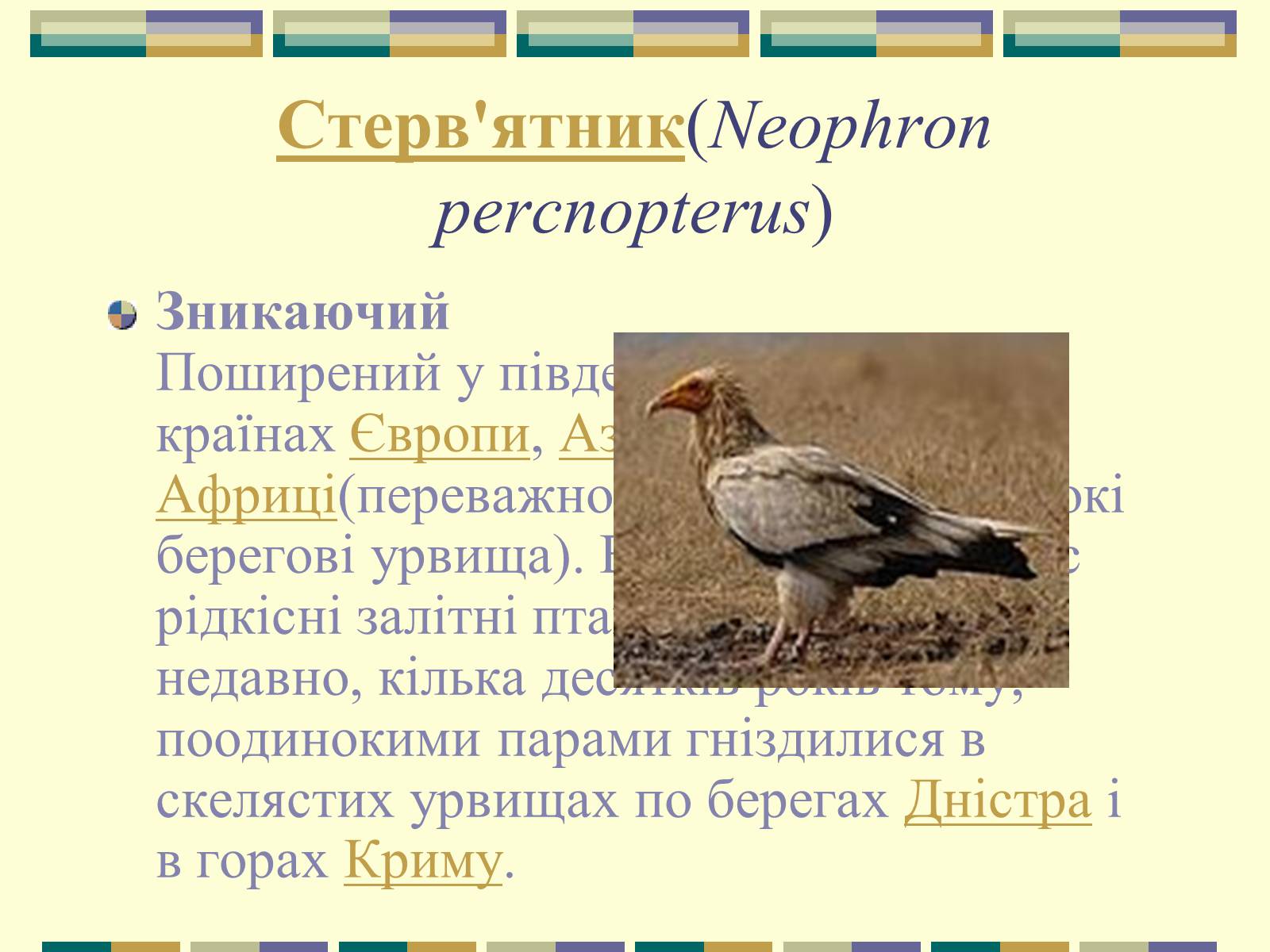 Презентація на тему «Червона книга України» (варіант 11) - Слайд #41 Презентація на тему «Червона книга України» (варіант 11) - Слайд #41