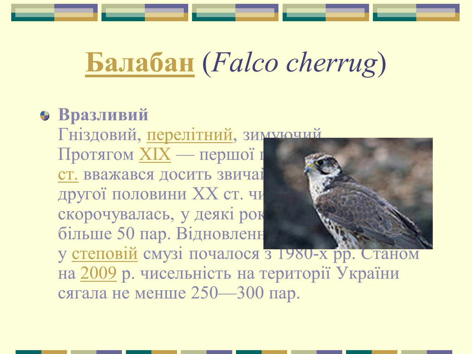 Презентація на тему «Червона книга України» (варіант 11) - Слайд #44 Презентація на тему «Червона книга України» (варіант 11) - Слайд #44