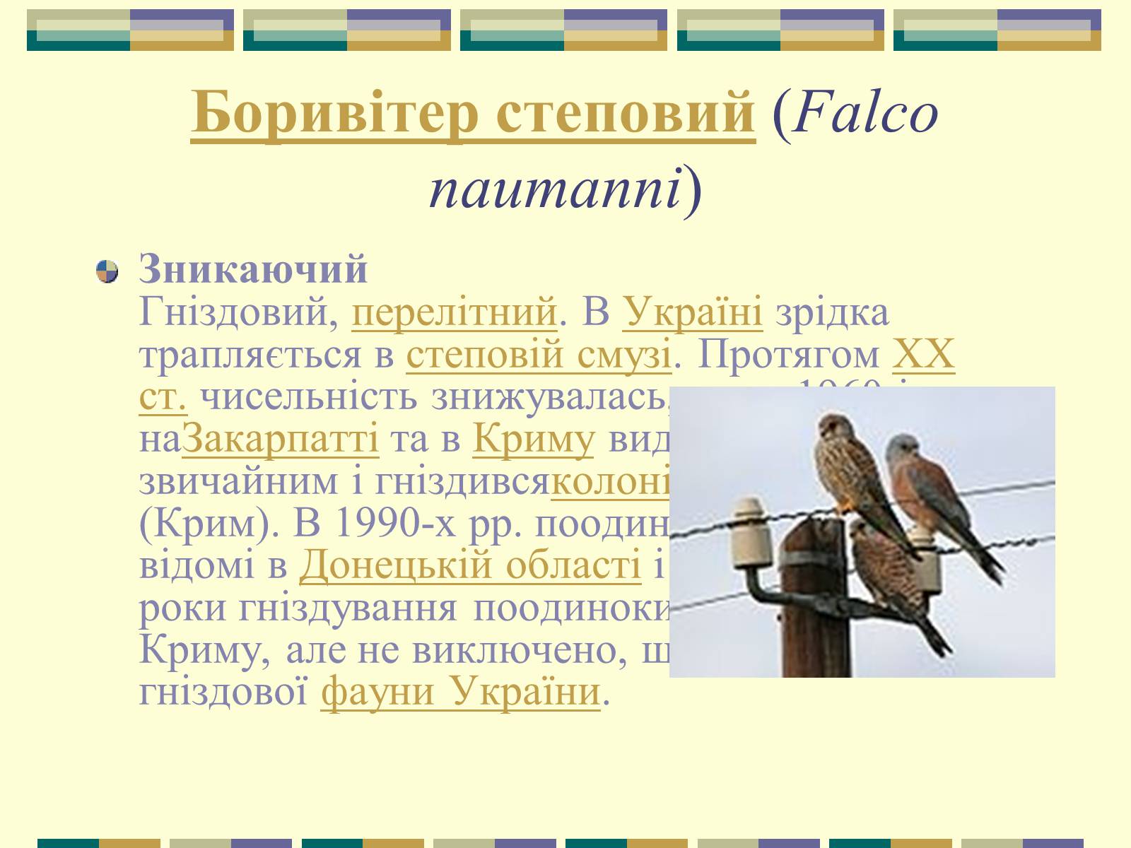 Презентація на тему «Червона книга України» (варіант 11) - Слайд #46 Презентація на тему «Червона книга України» (варіант 11) - Слайд #46