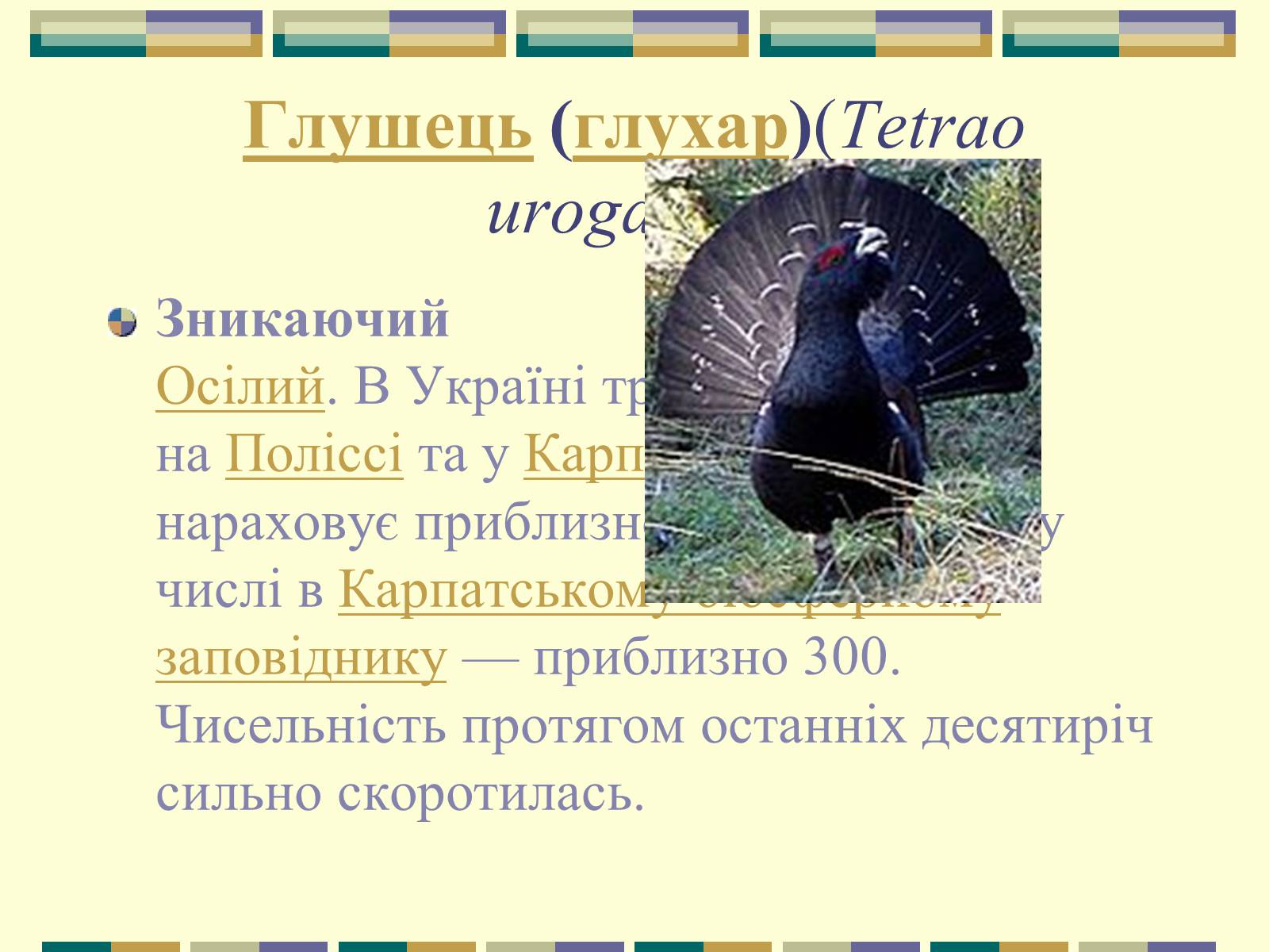 Презентація на тему «Червона книга України» (варіант 11) - Слайд #49 Презентація на тему «Червона книга України» (варіант 11) - Слайд #49