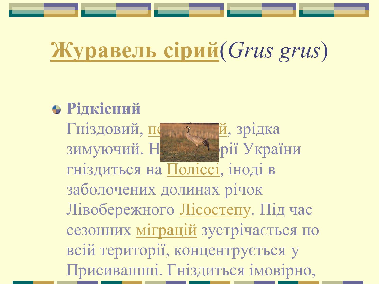 Презентація на тему «Червона книга України» (варіант 11) - Слайд #52 Презентація на тему «Червона книга України» (варіант 11) - Слайд #52