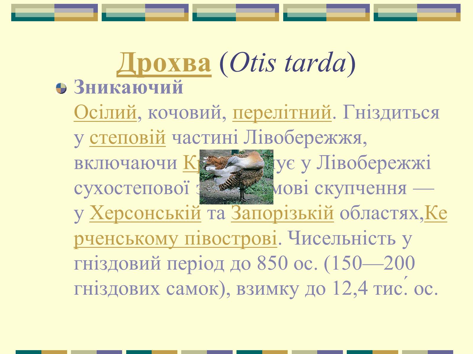Презентація на тему «Червона книга України» (варіант 11) - Слайд #54 Презентація на тему «Червона книга України» (варіант 11) - Слайд #54