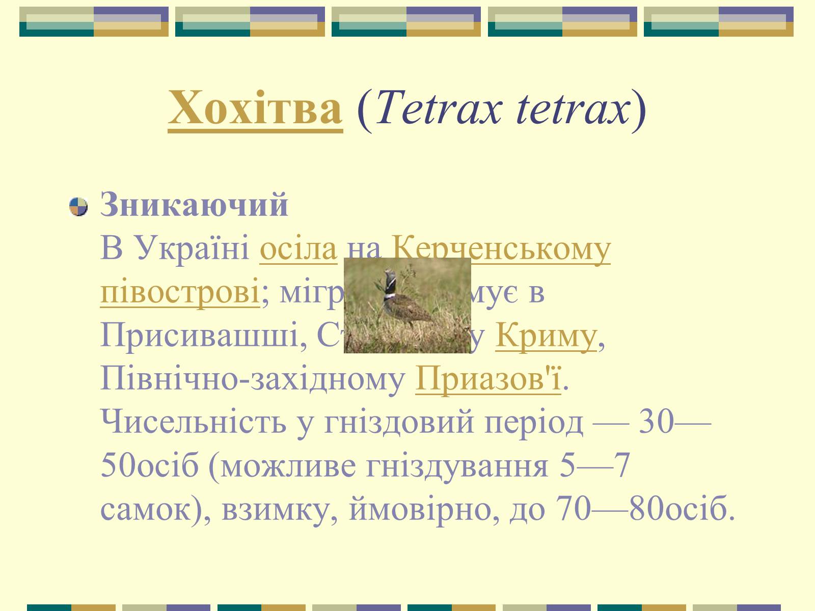 Презентація на тему «Червона книга України» (варіант 11) - Слайд #55 Презентація на тему «Червона книга України» (варіант 11) - Слайд #55