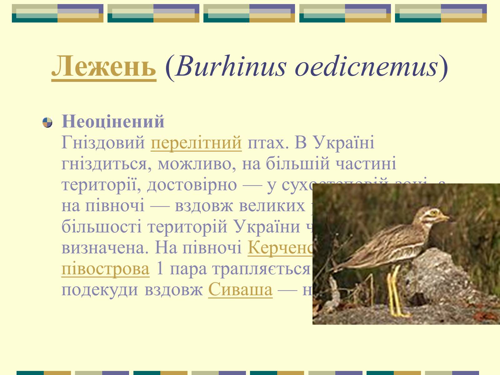 Презентація на тему «Червона книга України» (варіант 11) - Слайд #57 Презентація на тему «Червона книга України» (варіант 11) - Слайд #57