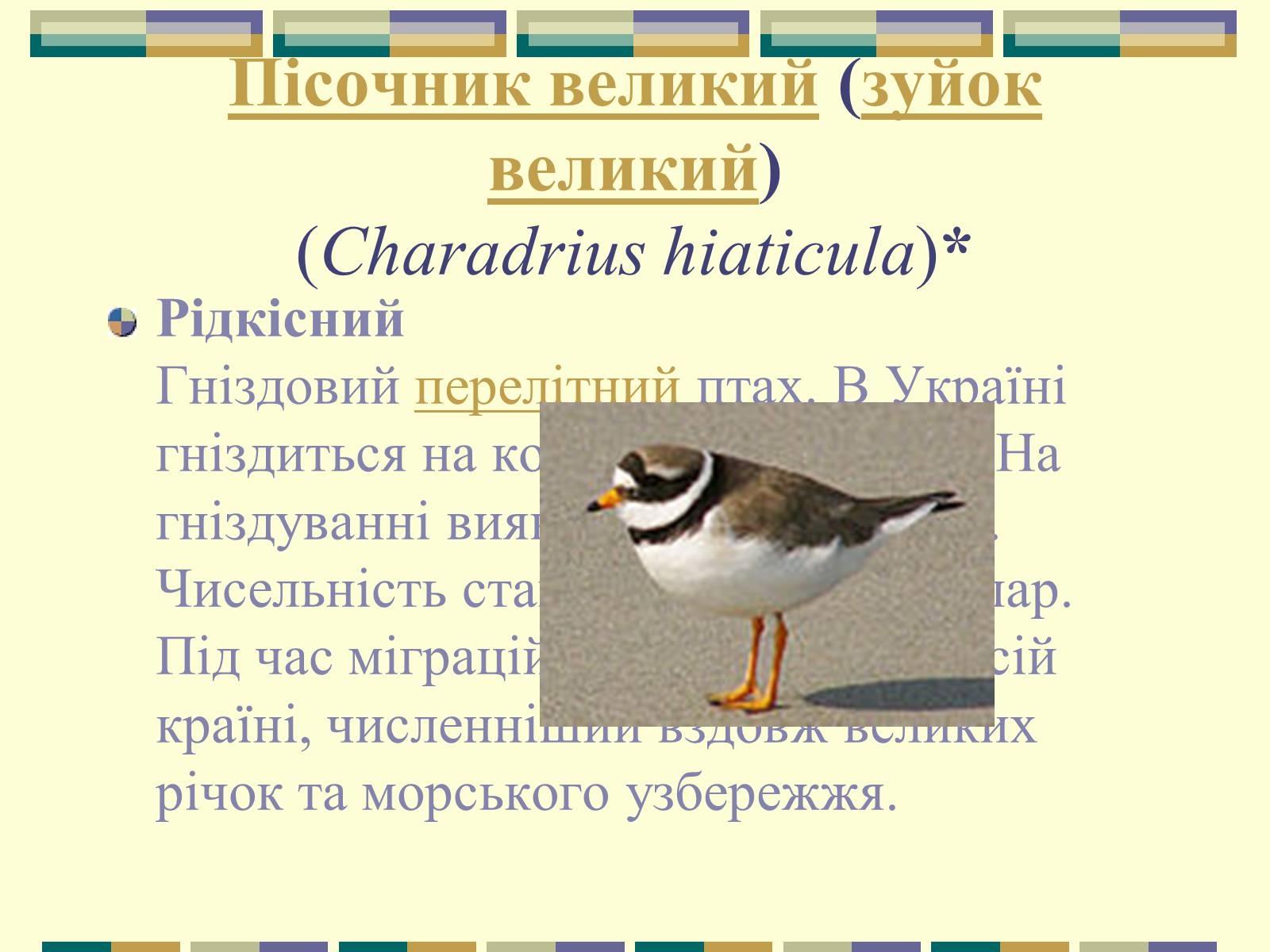Презентація на тему «Червона книга України» (варіант 11) - Слайд #58 Презентація на тему «Червона книга України» (варіант 11) - Слайд #58