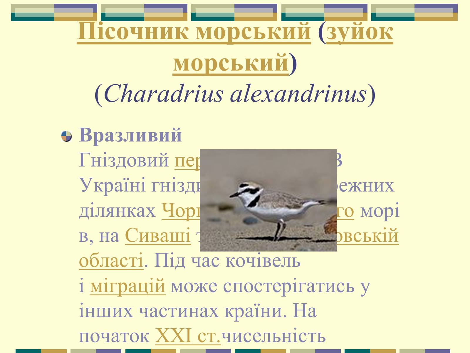 Презентація на тему «Червона книга України» (варіант 11) - Слайд #59 Презентація на тему «Червона книга України» (варіант 11) - Слайд #59