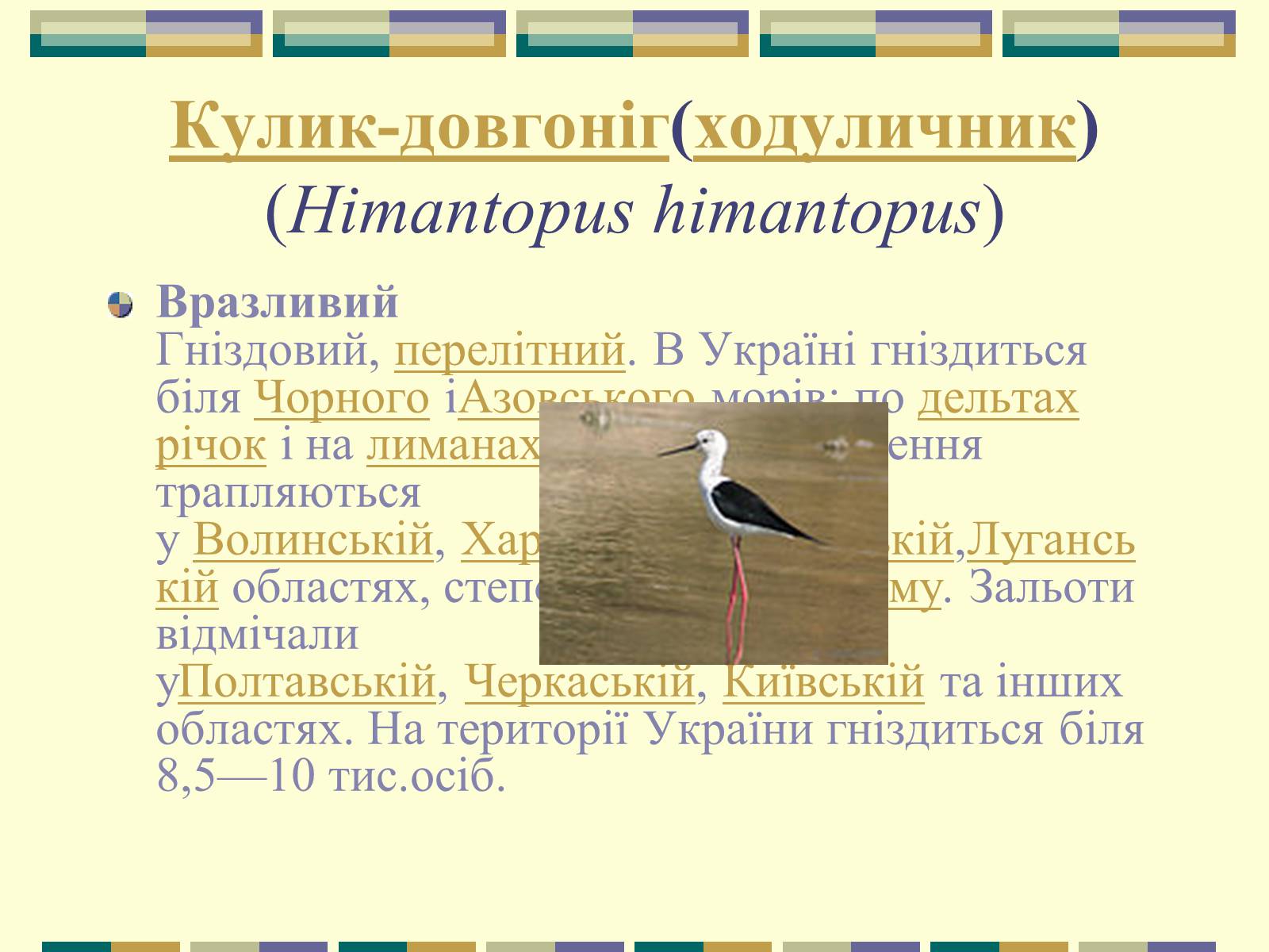 Презентація на тему «Червона книга України» (варіант 11) - Слайд #60 Презентація на тему «Червона книга України» (варіант 11) - Слайд #60