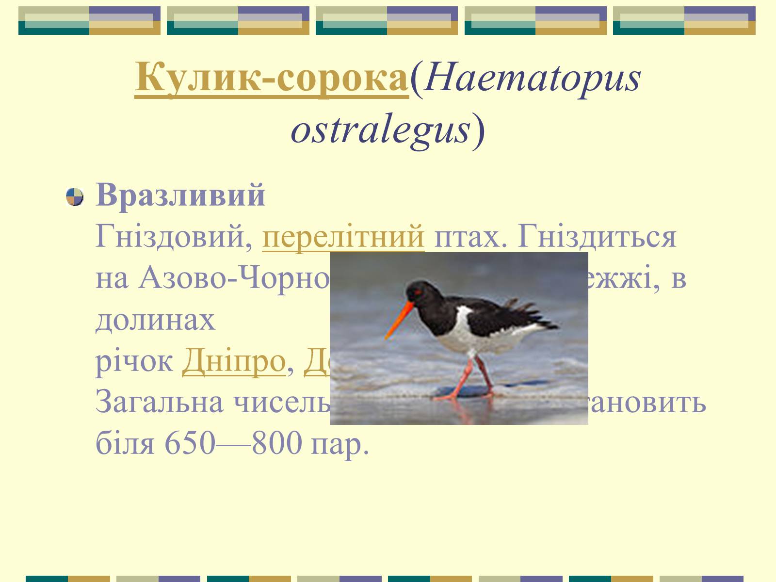 Презентація на тему «Червона книга України» (варіант 11) - Слайд #62 Презентація на тему «Червона книга України» (варіант 11) - Слайд #62