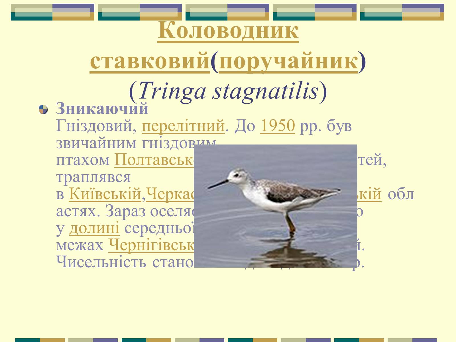 Презентація на тему «Червона книга України» (варіант 11) - Слайд #63 Презентація на тему «Червона книга України» (варіант 11) - Слайд #63