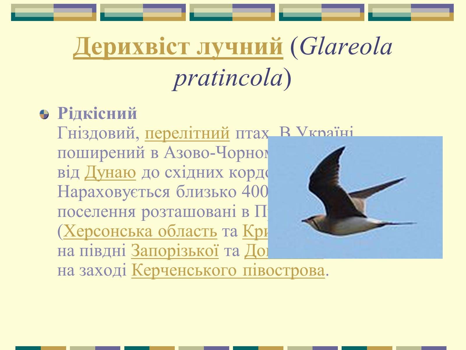 Презентація на тему «Червона книга України» (варіант 11) - Слайд #68 Презентація на тему «Червона книга України» (варіант 11) - Слайд #68