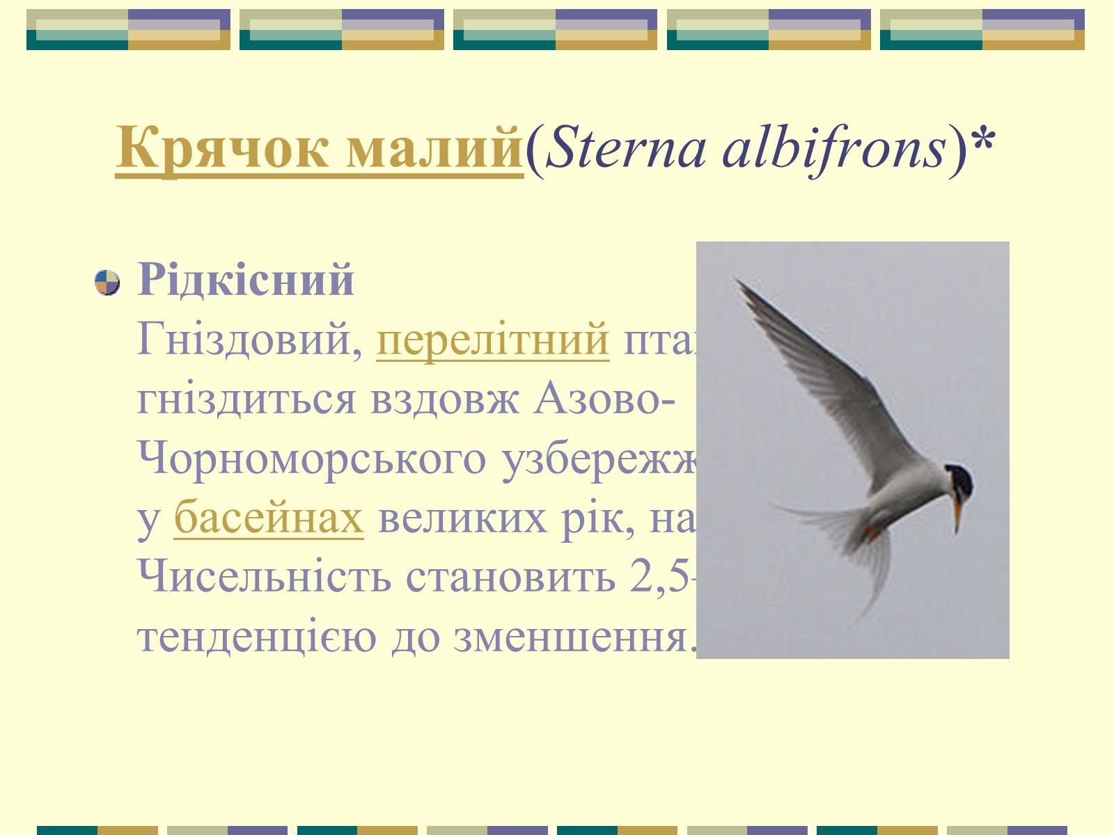 Презентація на тему «Червона книга України» (варіант 11) - Слайд #72 Презентація на тему «Червона книга України» (варіант 11) - Слайд #72