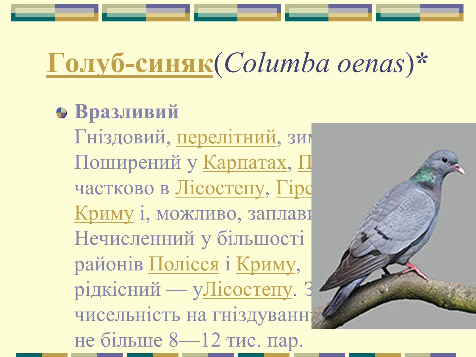 Презентація на тему «Червона книга України» (варіант 11) - Слайд #74 Презентація на тему «Червона книга України» (варіант 11) - Слайд #74