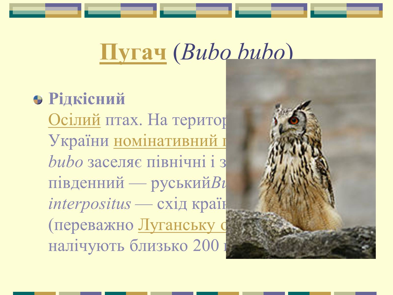 Презентація на тему «Червона книга України» (варіант 11) - Слайд #76 Презентація на тему «Червона книга України» (варіант 11) - Слайд #76