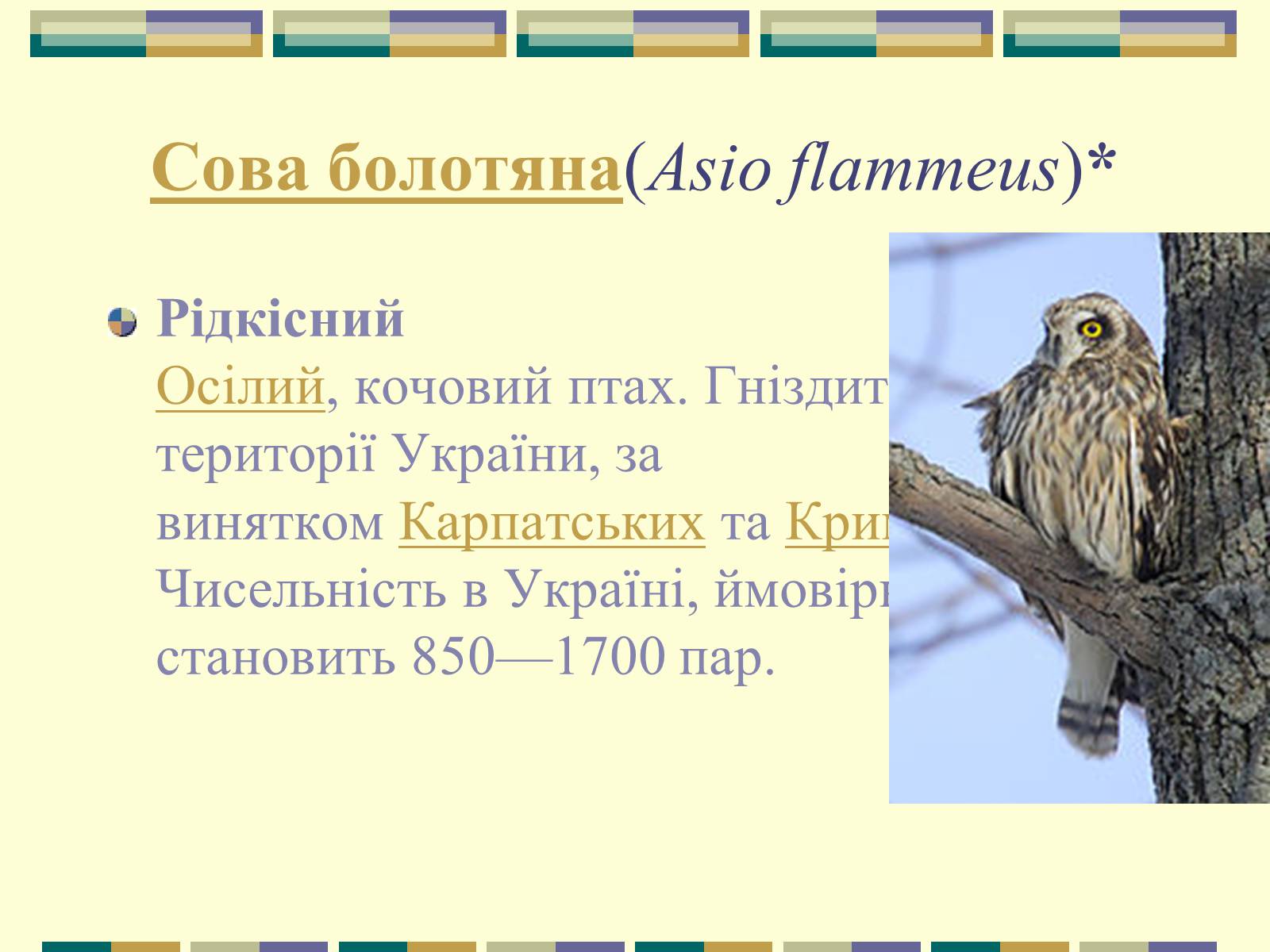 Презентація на тему «Червона книга України» (варіант 11) - Слайд #77 Презентація на тему «Червона книга України» (варіант 11) - Слайд #77