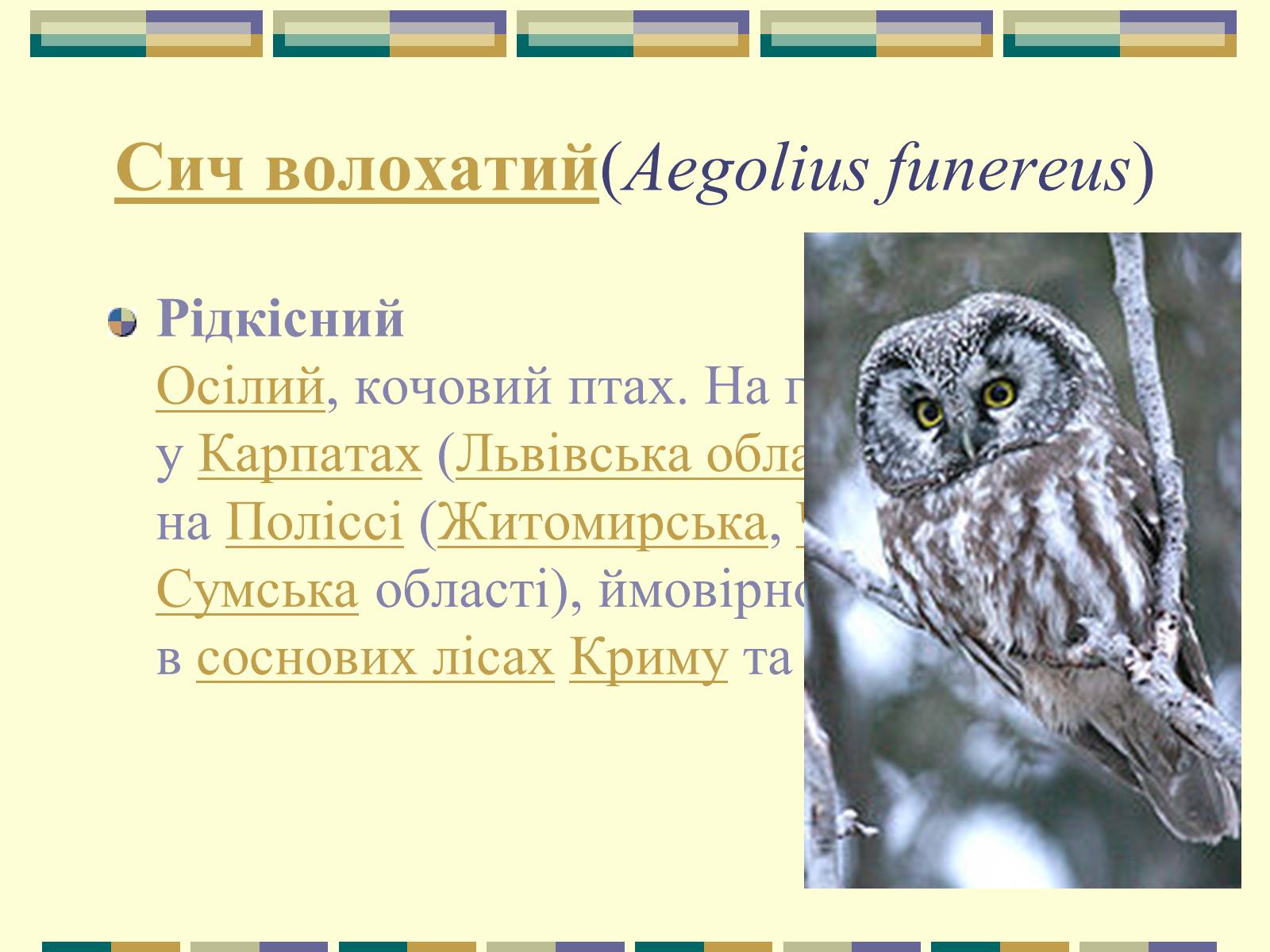 Презентація на тему «Червона книга України» (варіант 11) - Слайд #79 Презентація на тему «Червона книга України» (варіант 11) - Слайд #79